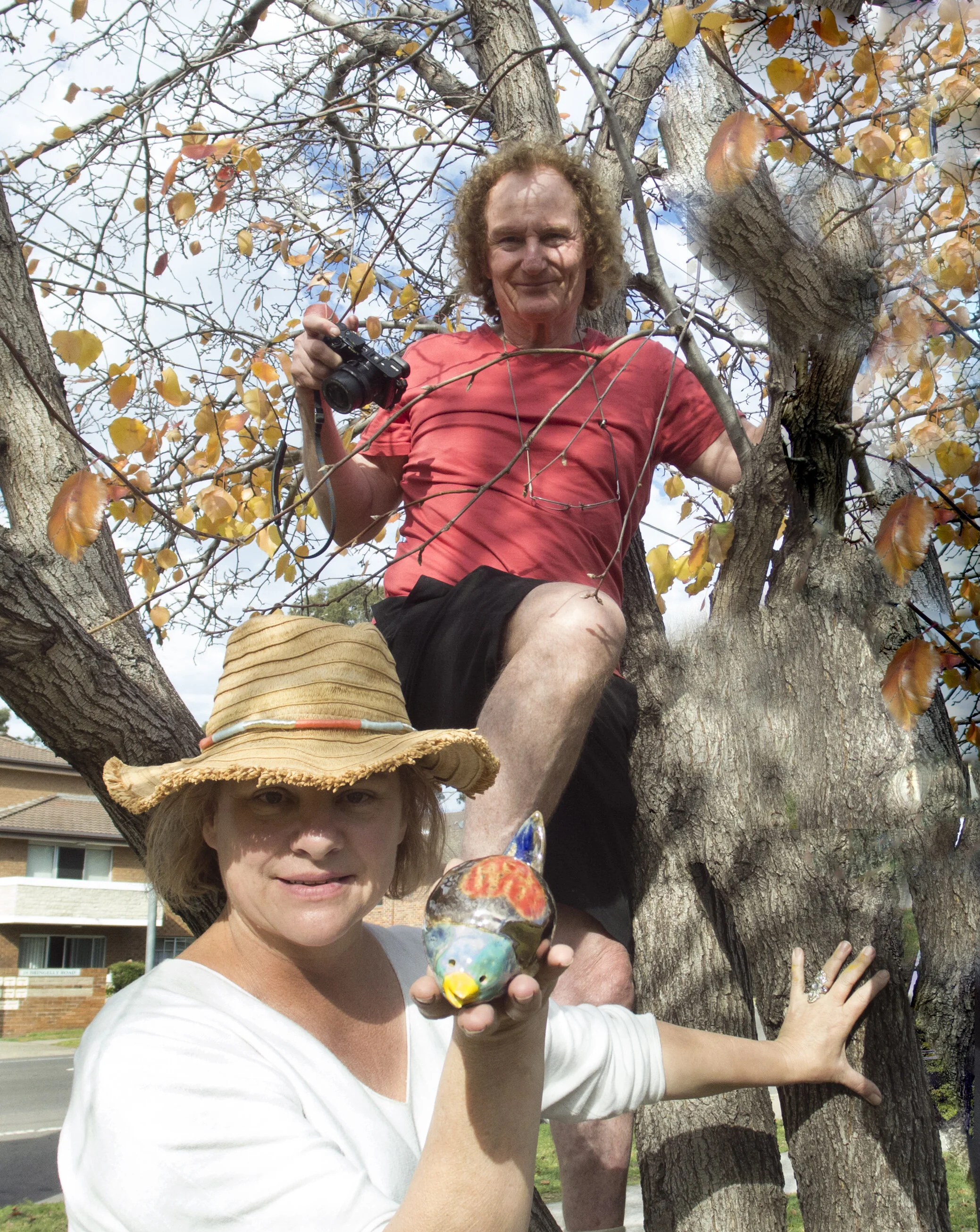 A Little Bird Told Me | Rhonda Dee I Penrith City Council I  2019