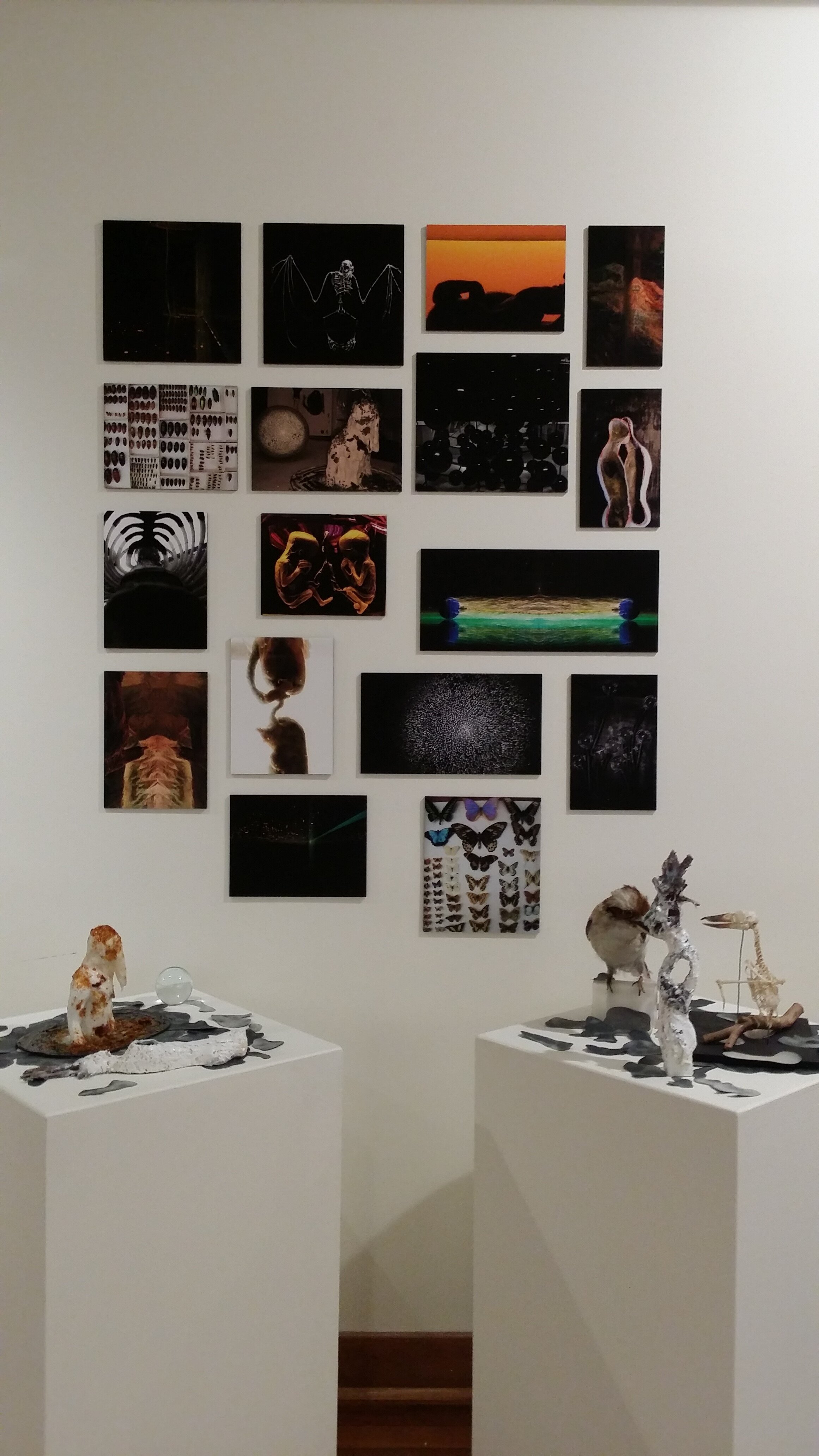 Rhonda Dee Installation Hidden Symmetries.jpg