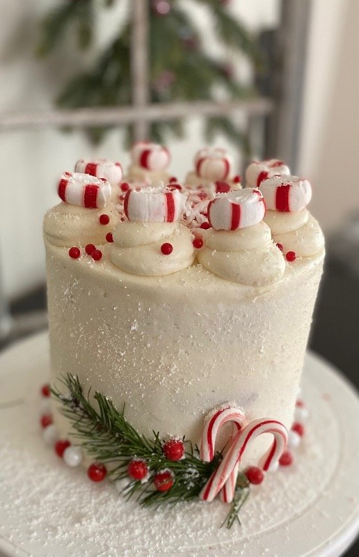 choc peppermint cake.jpeg