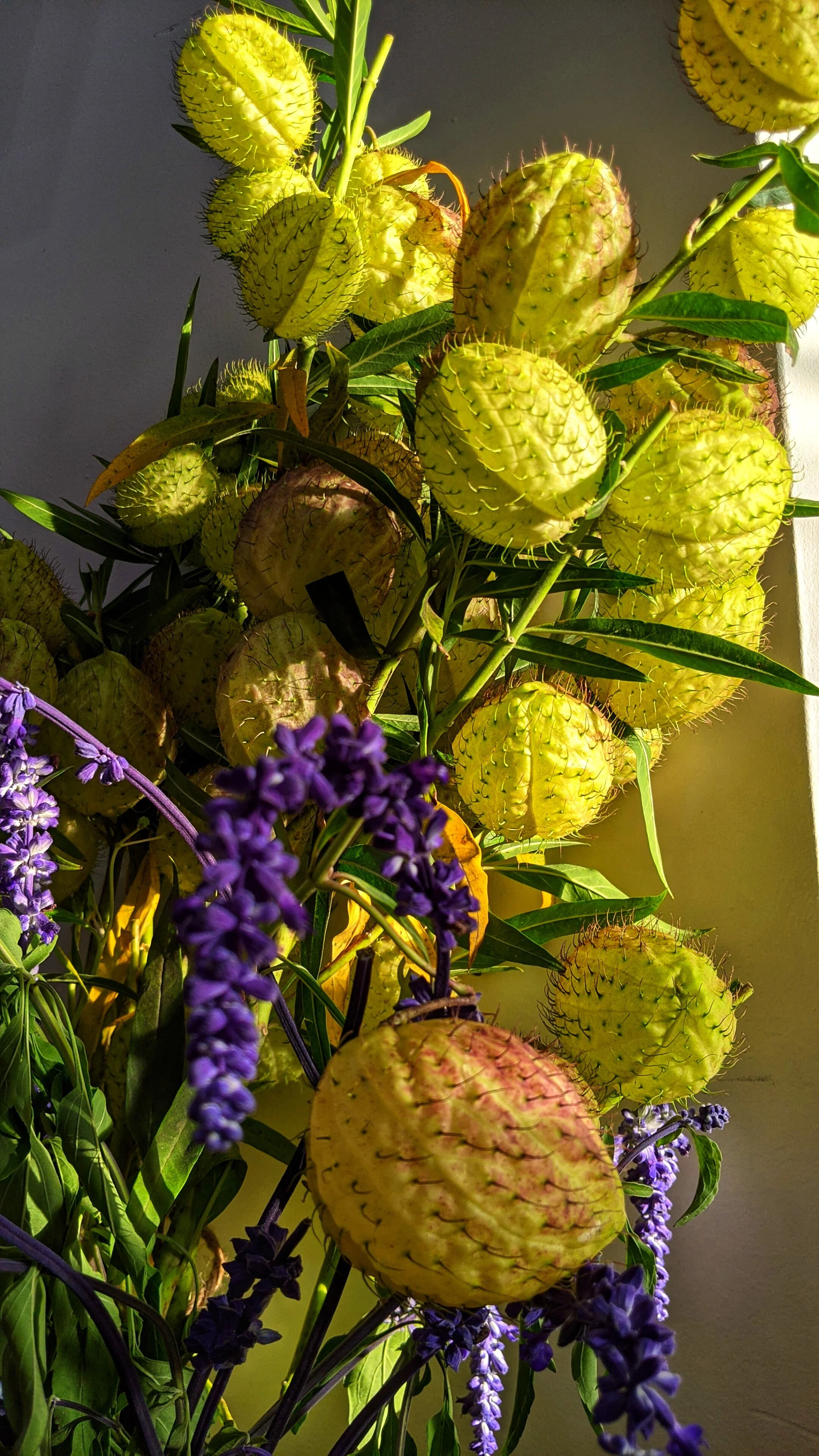 market flowers_edited.jpeg