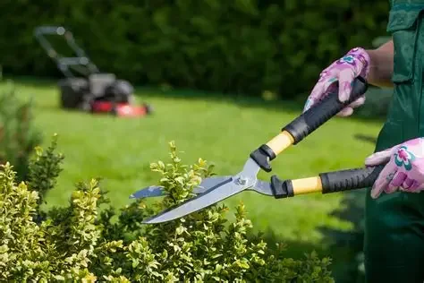 Is a Garden Maintenance Subscription Service Worth It?