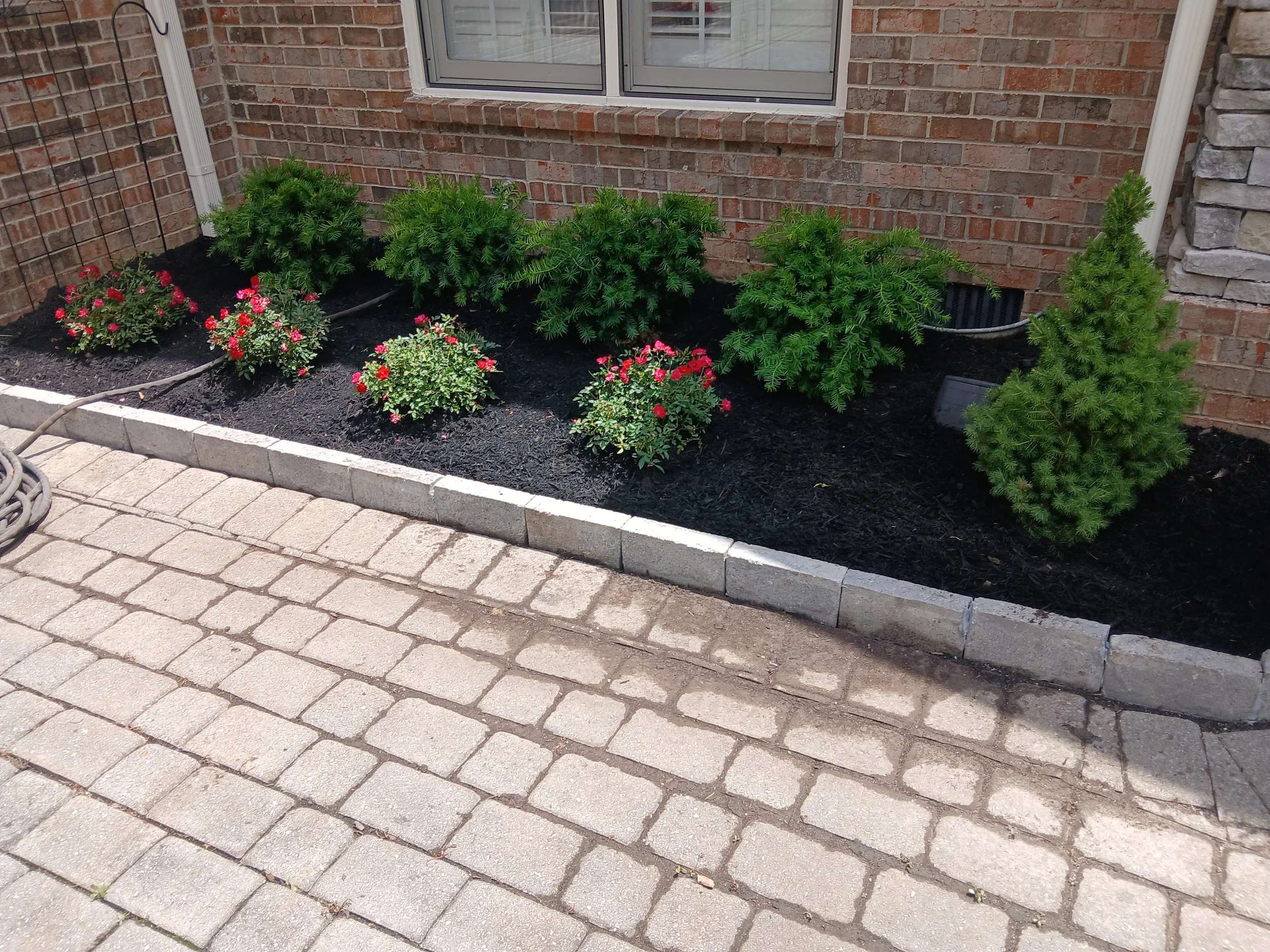 Landscaping Services and Plant Installation