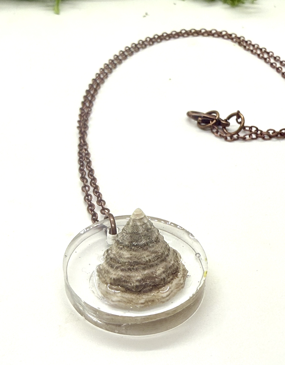 SHELL CAPSULE