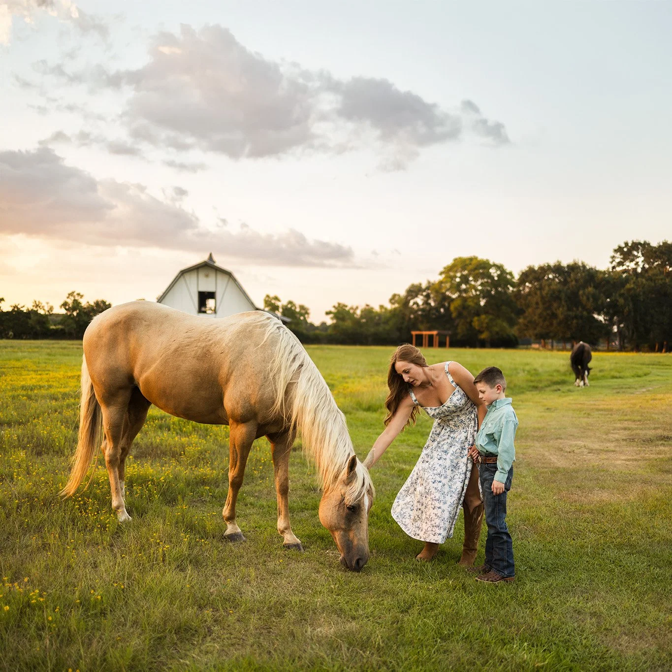 Family photos-farm-Tomball, Texas.jpg