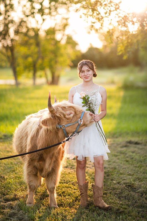Cow Photoshoot- Houston.jpg