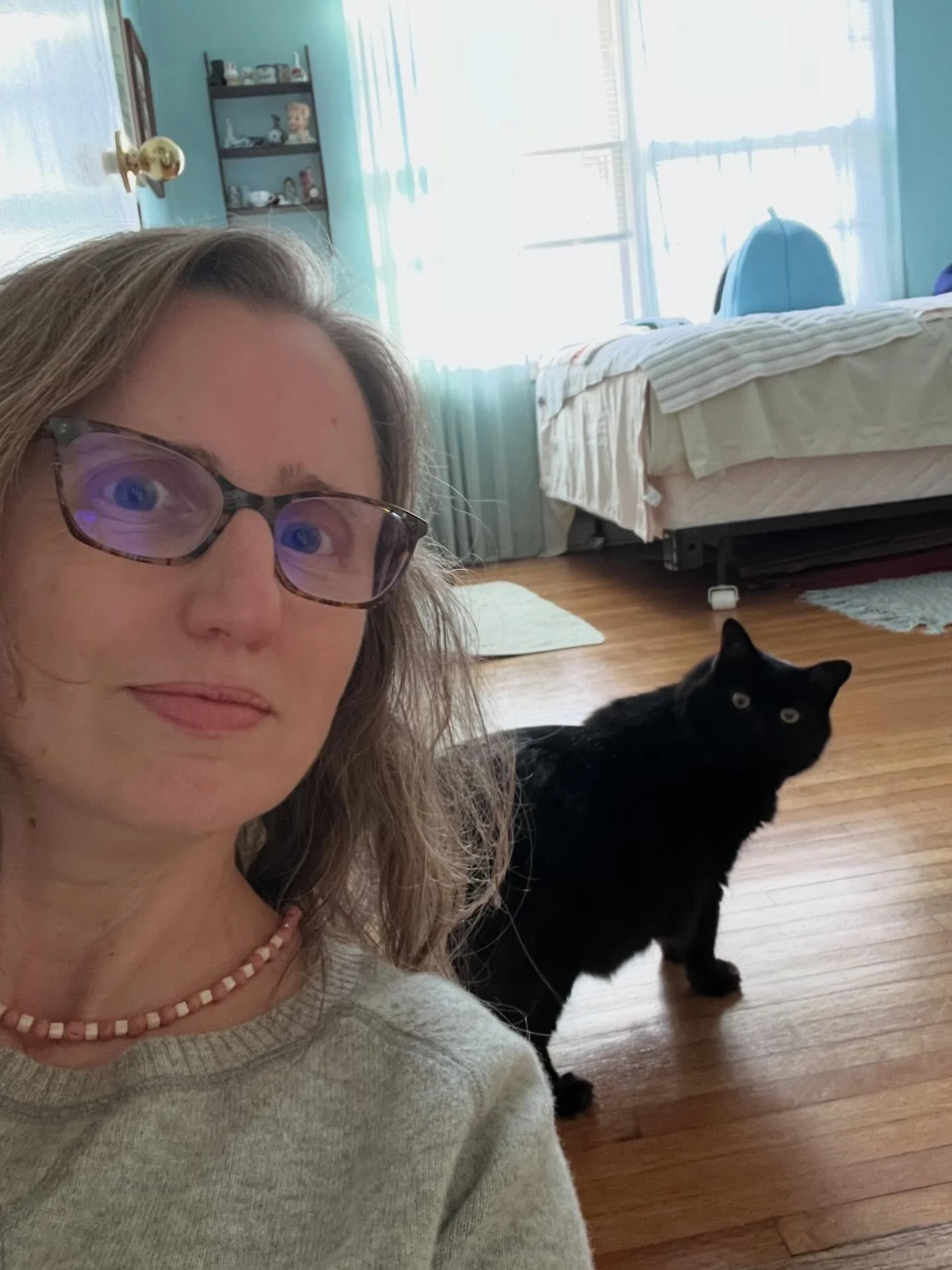 Five years ago today, Snowball began his rags-to-riches journey, from feral yard kitten to mayor of the house. #cats #catrescue #trapneuterreturnfail