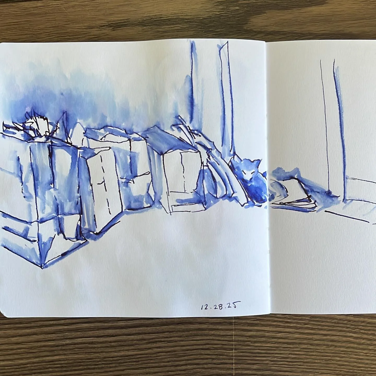 The cat made his bed in my giveaway pile. #sketchbook #urbansketchers #walktosee #inkdrawing #catdrawings