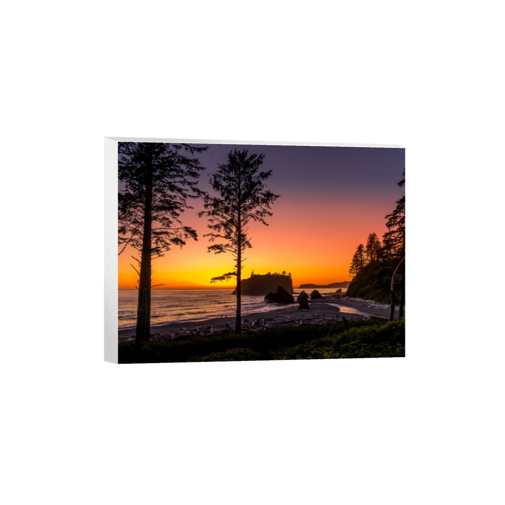 canvas_rectangle3_4_1551_0_5884_4413_0_false_ffffff_0_0.png