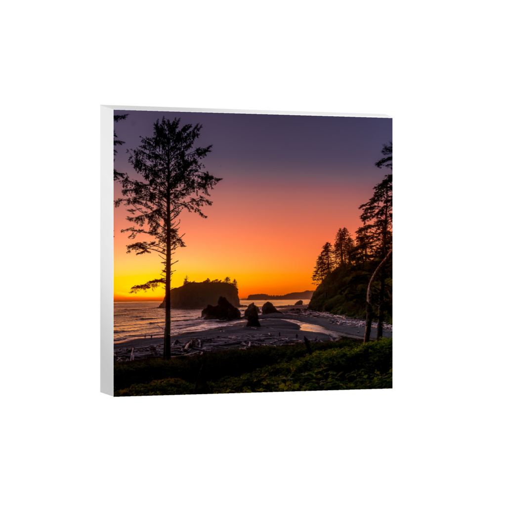 canvas_square_3085_0_4413_4413_0_false_ffffff_2_2.png