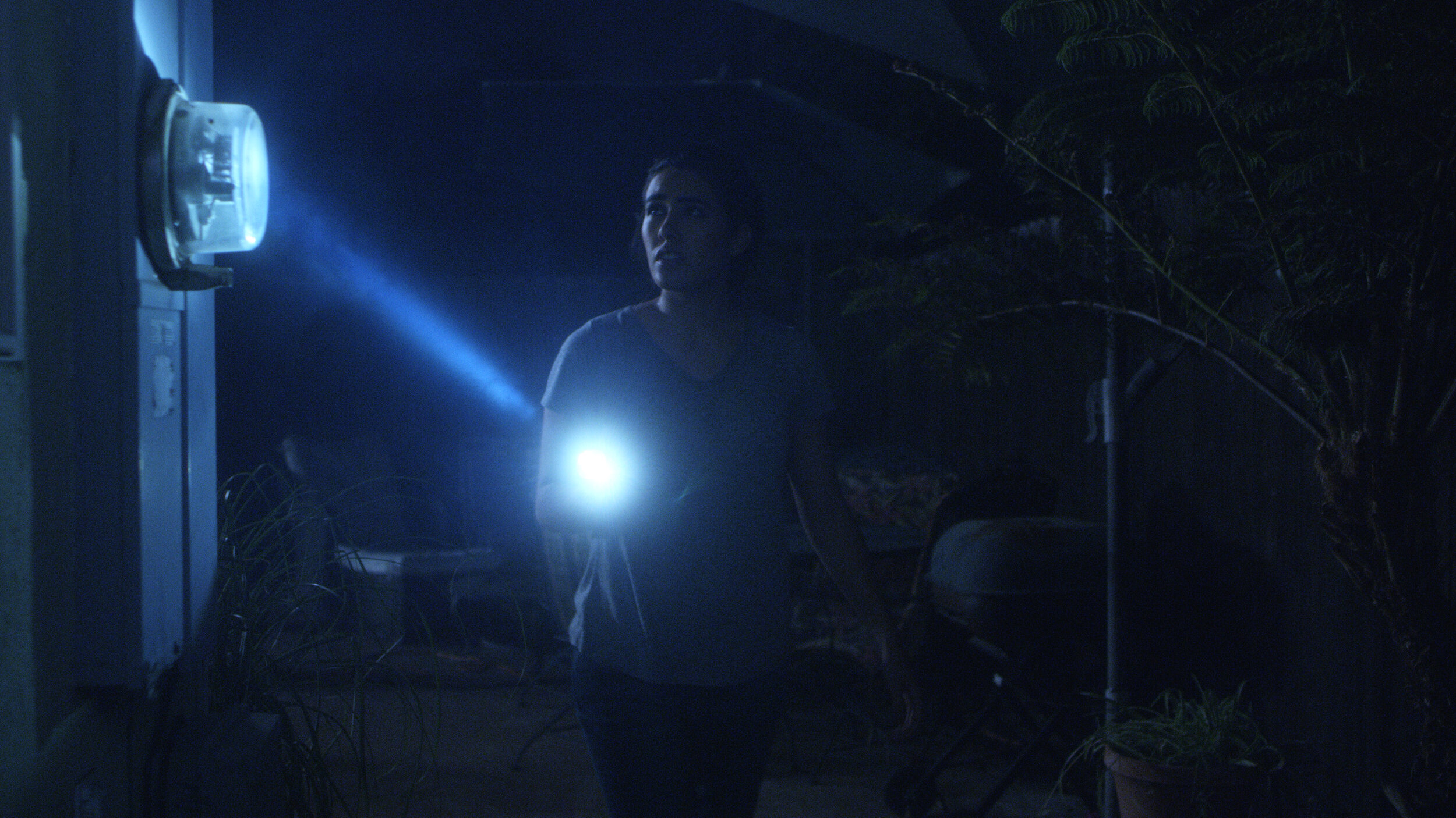 Press_still5.jpg