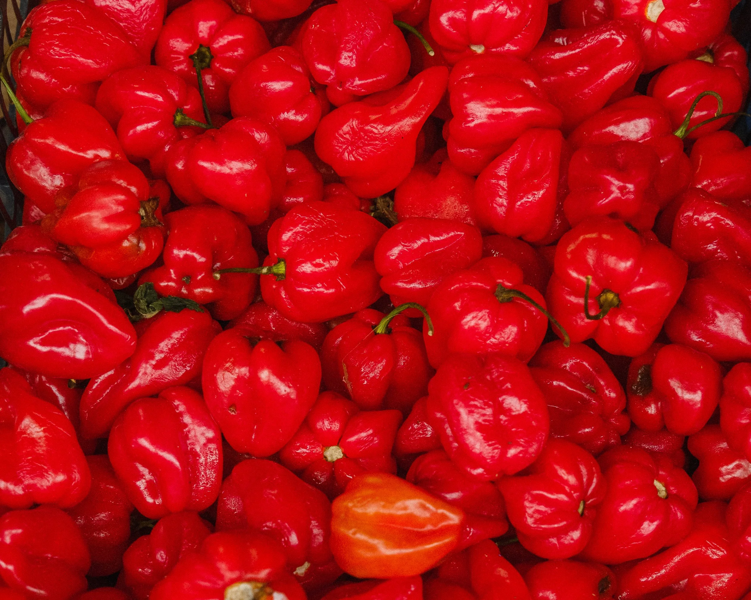 SEPC - ROPERS_29.jpeg