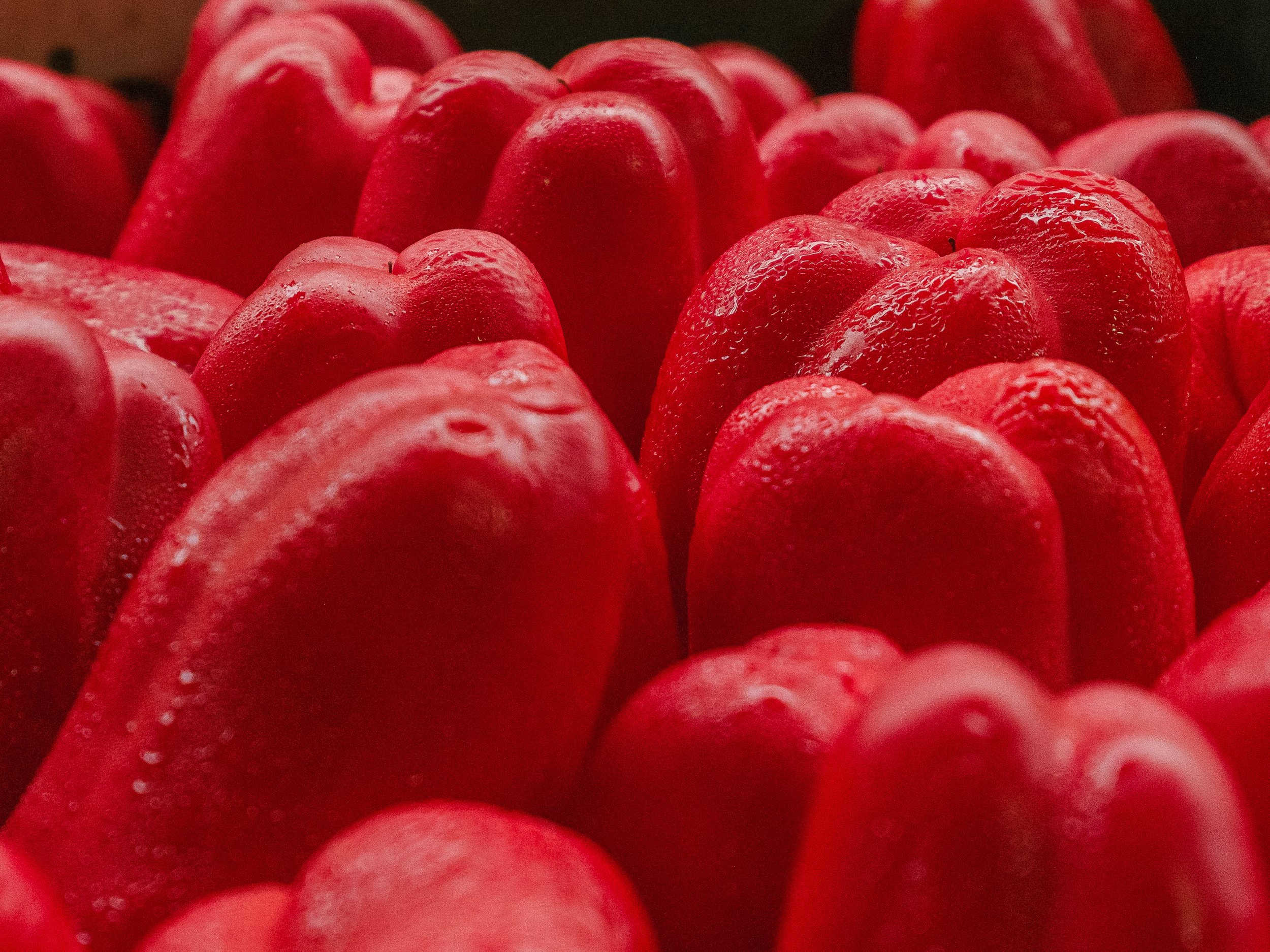 SEPC - ROPERS_18.jpeg