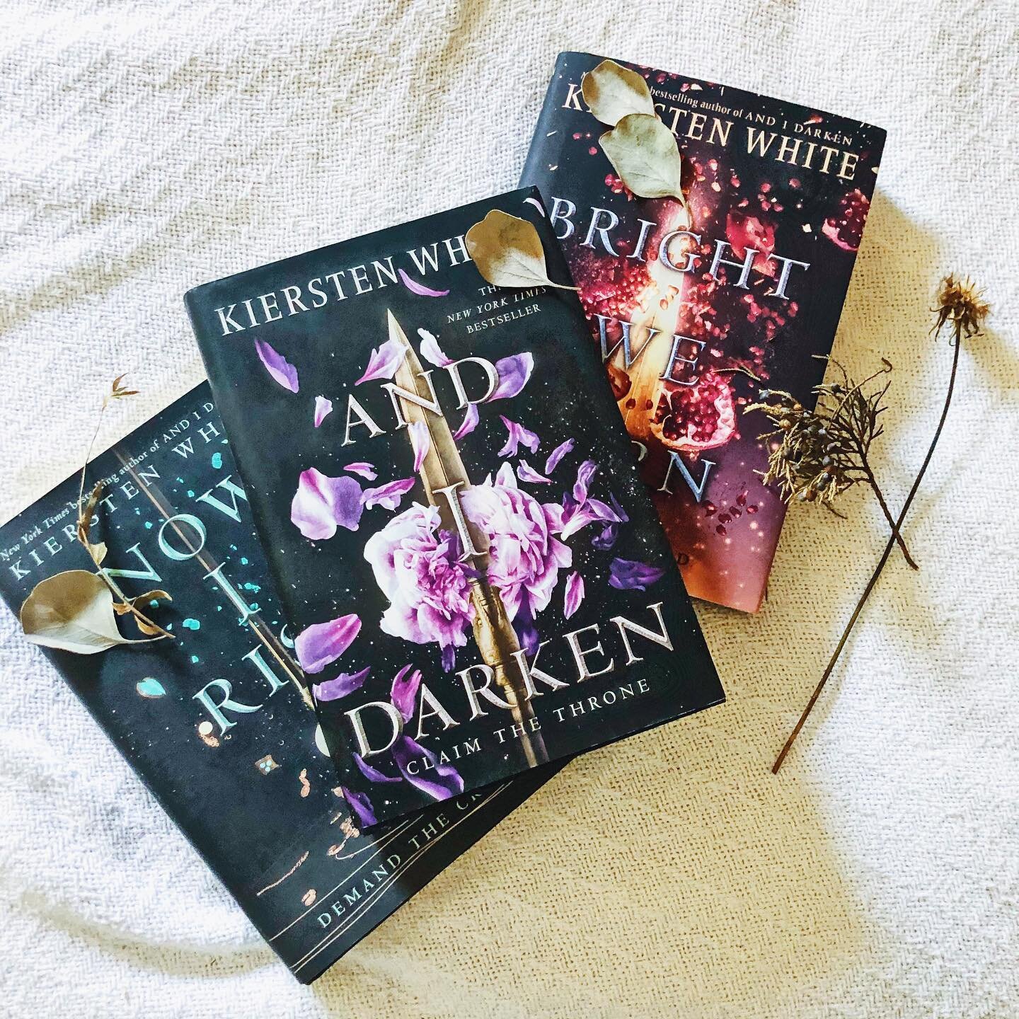 &ldquo;As the baby latched on with surprising fierceness, the nurse offered her own prayer.
Let her be strong. 
Let her be sly. 
And let her be ugly.&rdquo;
* * *
I just finished the And I Darken series by @authorkierstenwhite and it left me REELING.