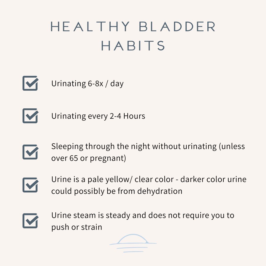 Here are some helpful &quot;norms&quot; of urination! By knowing some of the normal ranges we are able to identify some common issues. ⠀⠀⠀⠀⠀⠀⠀⠀⠀
⠀⠀⠀⠀⠀⠀⠀⠀⠀
Urine color is very important, and honestly we could all probably drink more water. So, drink s
