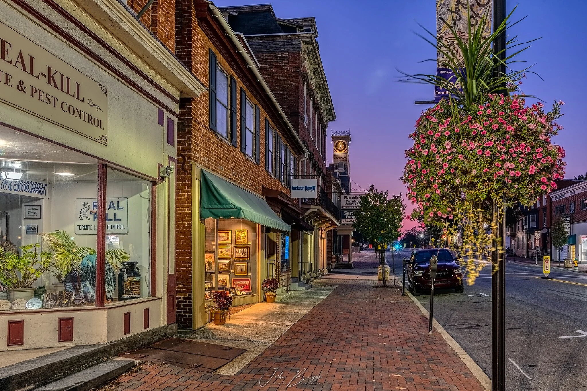 downtown with flowers.jpg