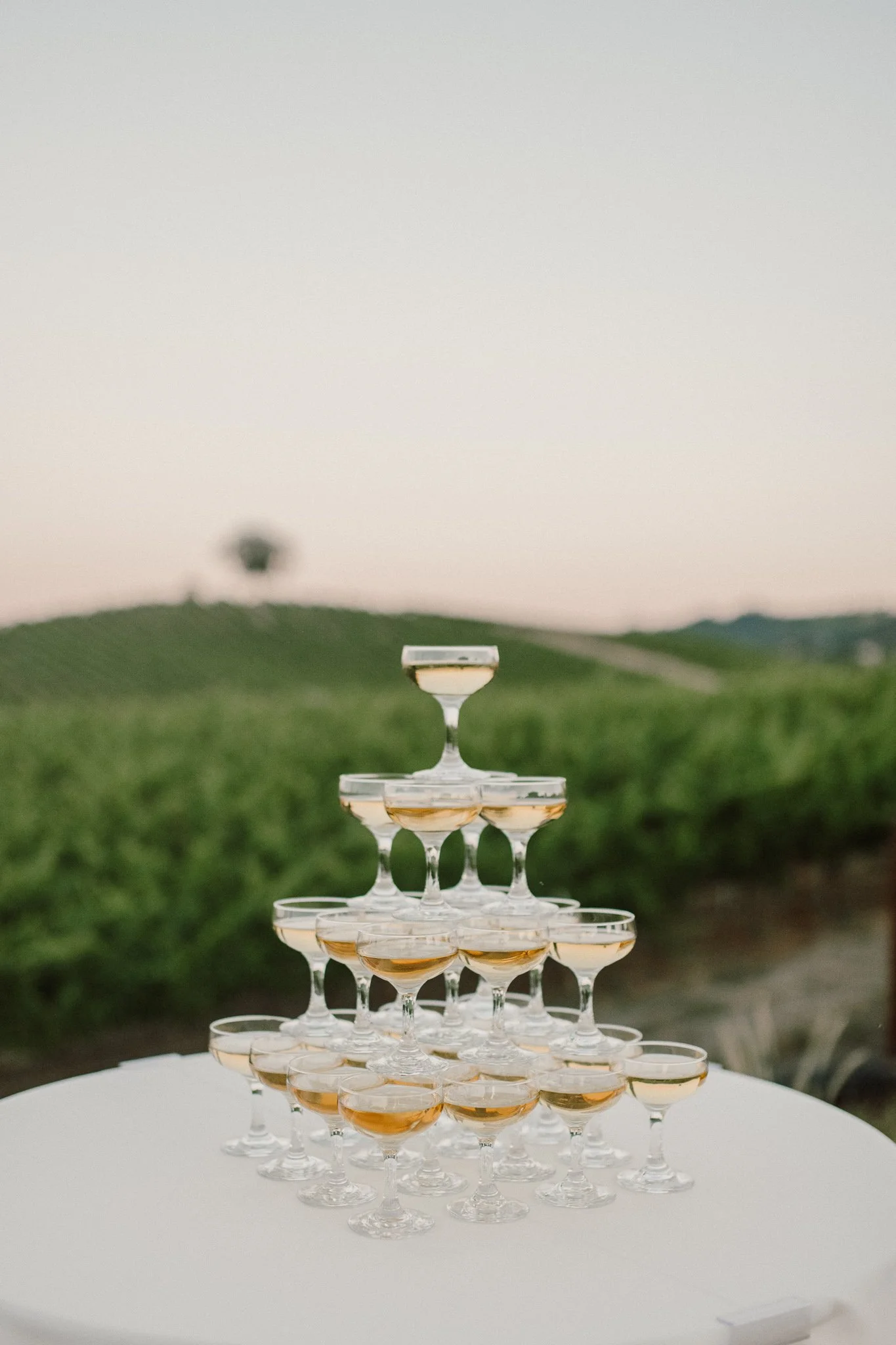 Best Sonoma &amp; Napa Wine Country Venues for an Outdoor Wedding