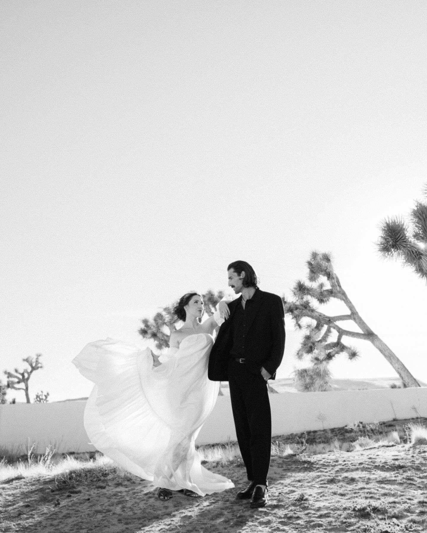 I have my own definition of portrait photography. I blend formal with the familiar &amp; poses without being posed. I love finding beauty in unprompted movement. 🏜️ 

Photography: @elizabethpishalphoto
Venue: @lechacuel
Set Design &amp; Styling: @by