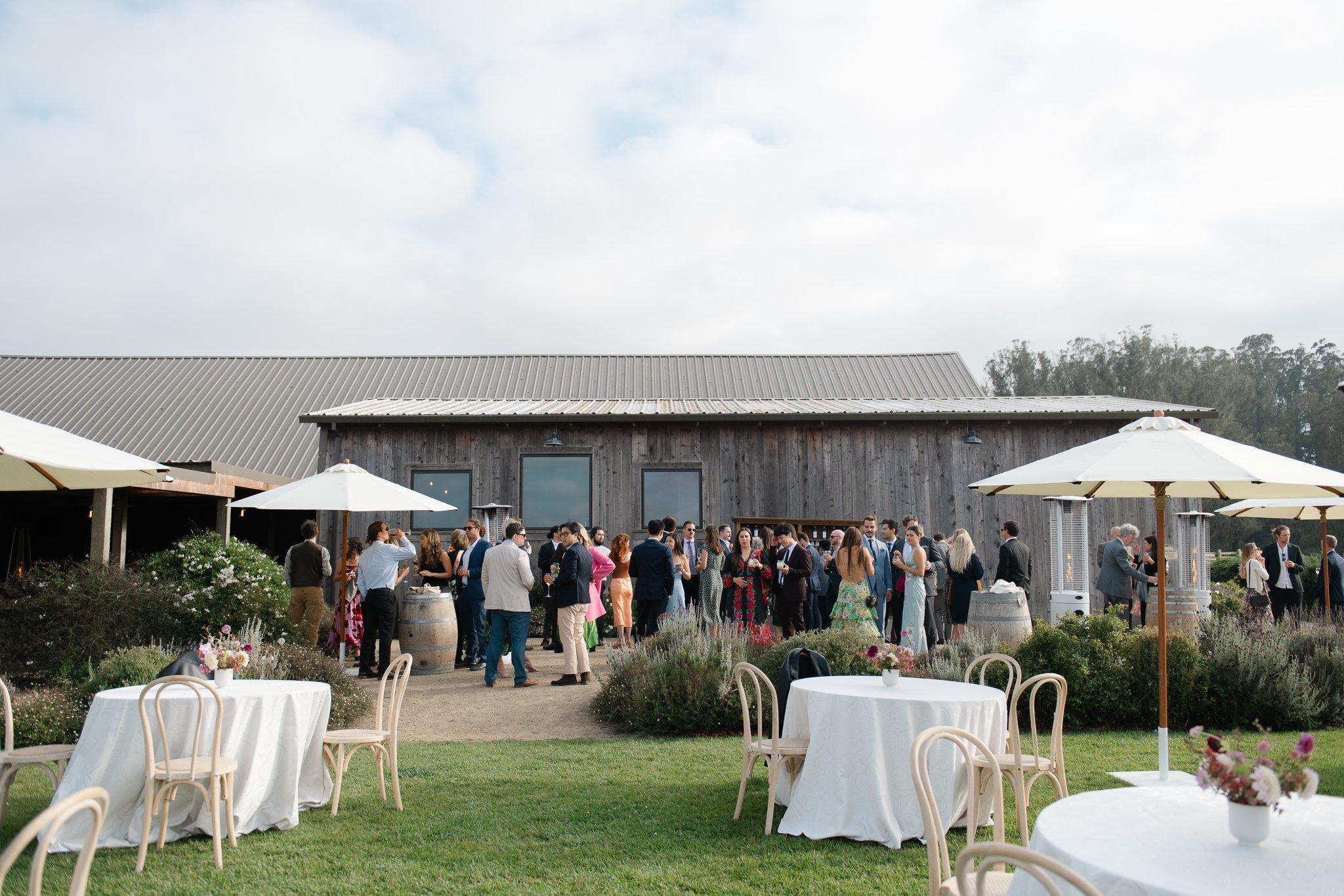 the+haven+tomales+bay+wedding+photographer-17.jpg