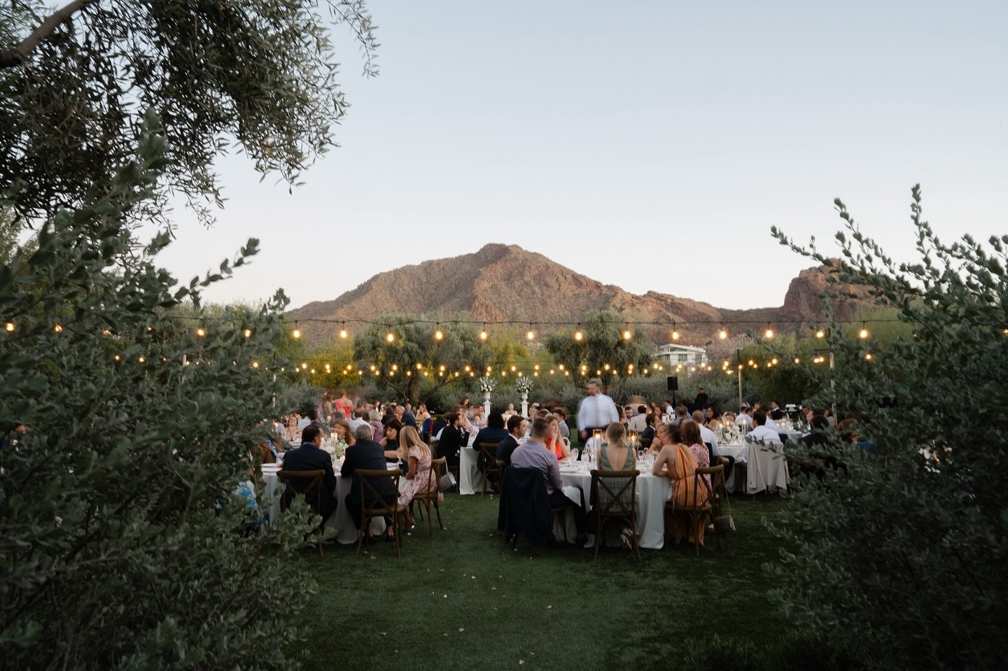 Twilight in the desert 🏜️ 

Can&rsquo;t wait to share more from Chris &amp; Abbey&rsquo;s gorgeous day at @elchorroweddings ✨🌵

Photographer: @elizabethpishalphoto 
Venue: @elchorroweddings 
Planning: @shannonsmithevents 
Florals: @zinniafloral_co 