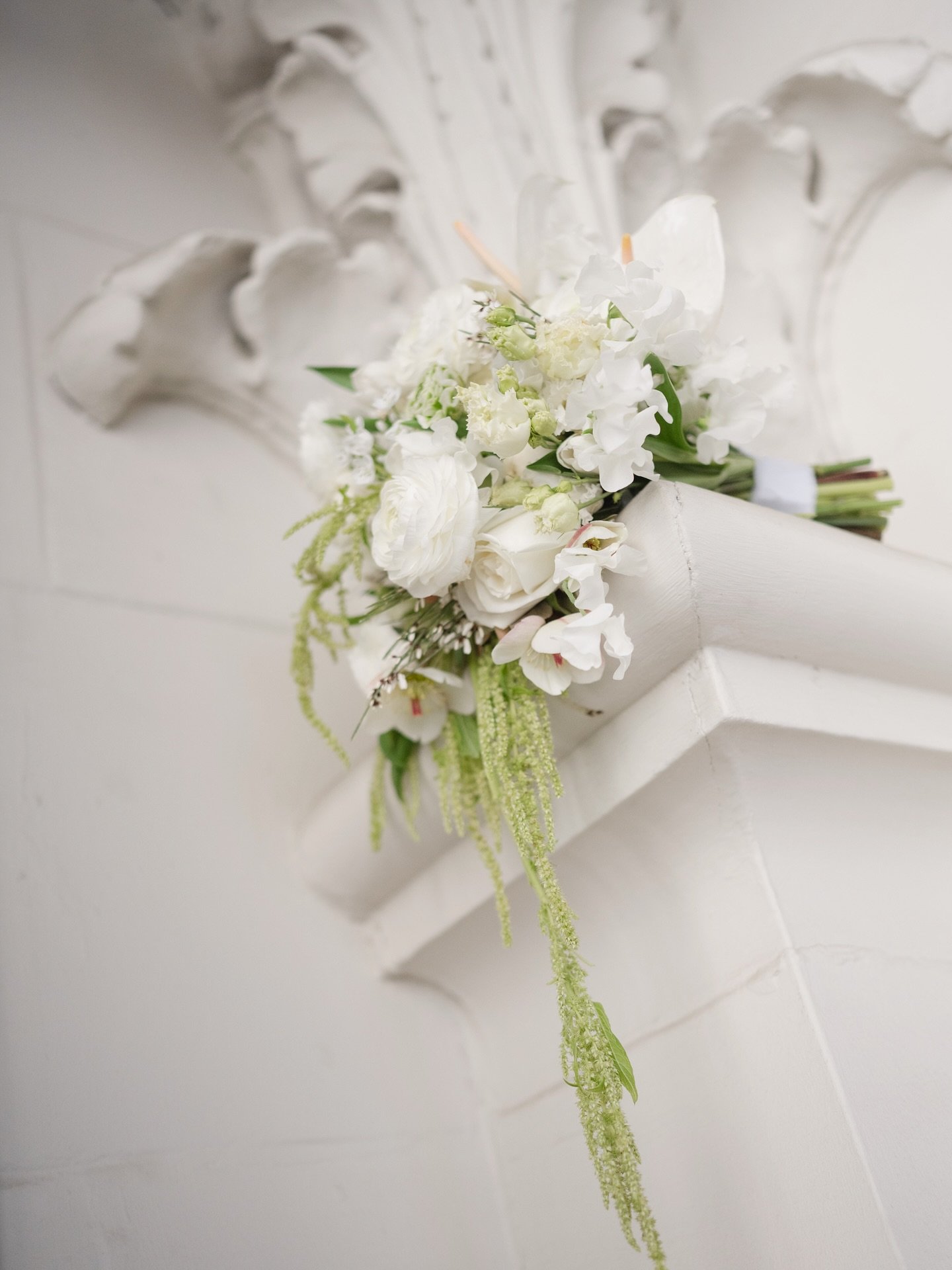 A lush green &amp; white bridal bouquet adorned with amaranthus, orchids, ranunculas &amp; anthurium 💐 

//

#weddingbouquet #weddingflowers #weddingfloral #bridalbouquet #2026bride #sfcityhallweddingphotographer #sanfranciscocityhall