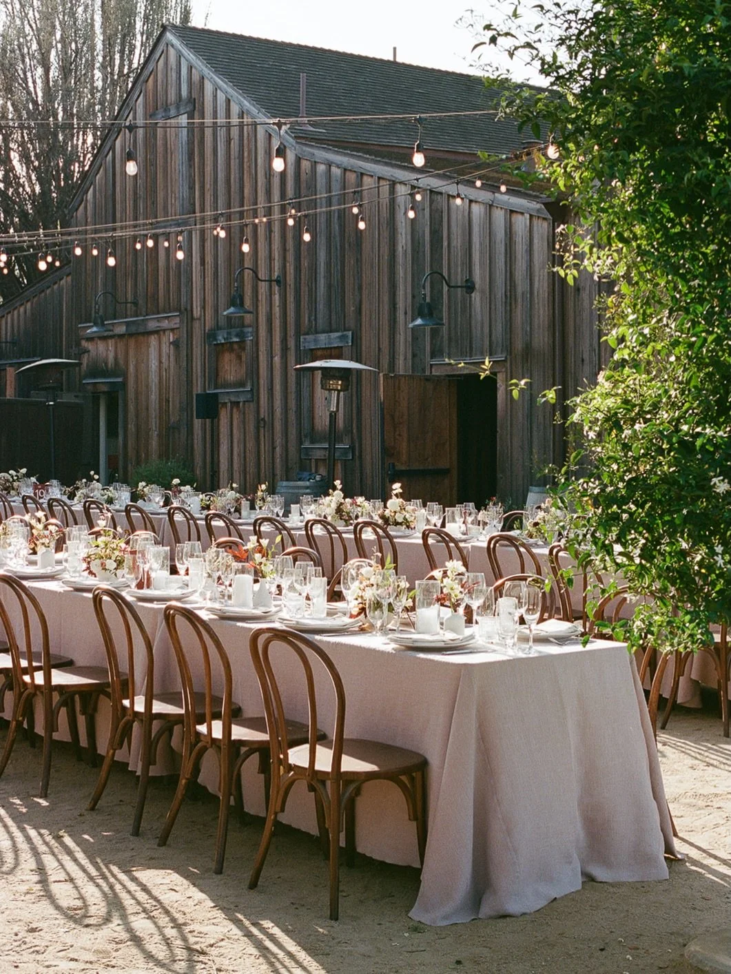 The perfect fall wedding day with Claire &amp; Fletcher in Monterey 🎞️ 🍂

Planner: @paige.events
Venue: @barnsatcoopermolera
Photography: @elizabethpishalphoto
Floral: @amywestfloral
Rentals: @chiceventrentals + @bbjlatavola
Hair + Makeup: @blushha