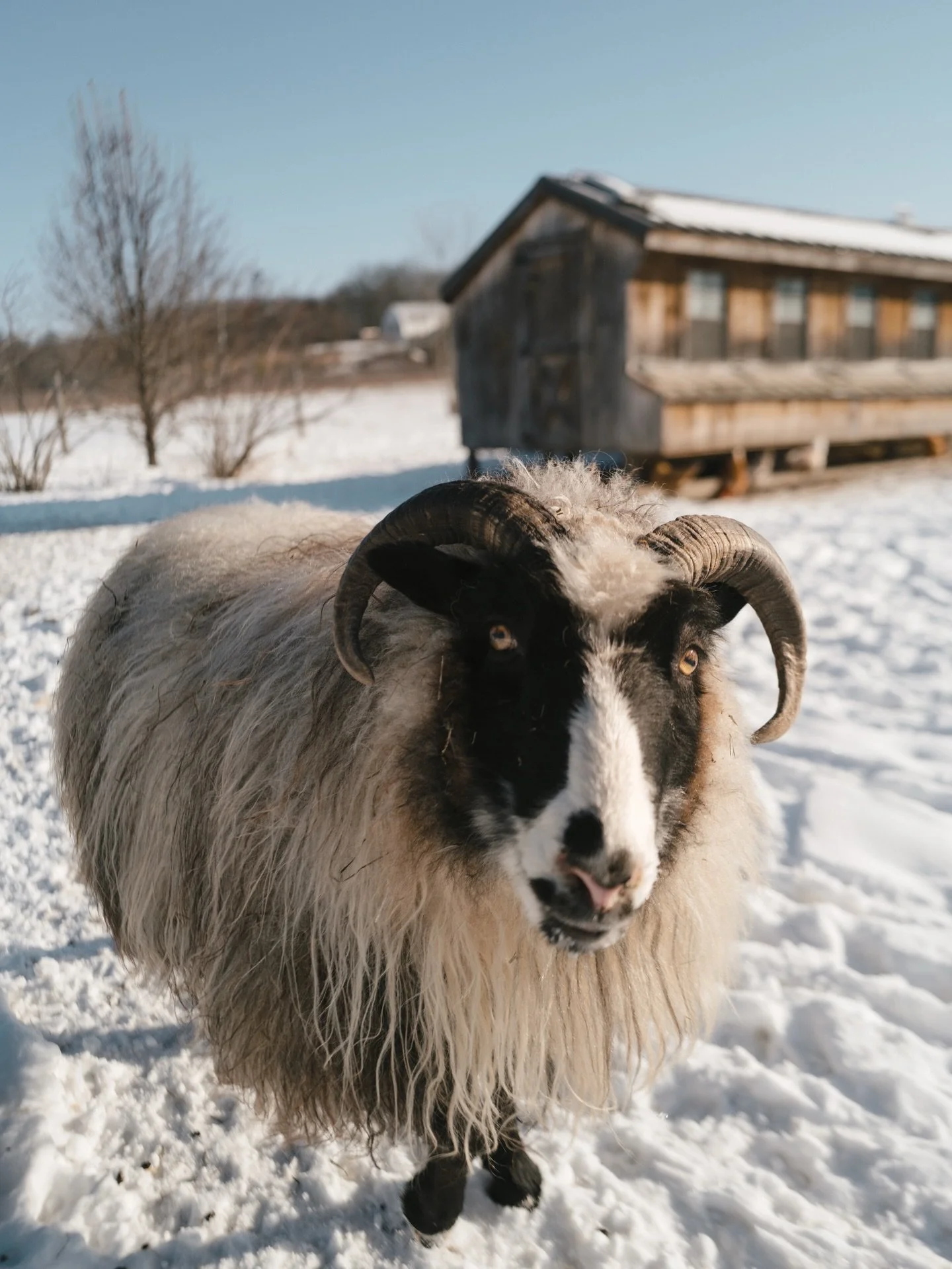 A few Leica snaps from my week at @wildflowerauberge ❄️

After a full 2025 season, I finally slowed down and truly reset. A little solo getaway to celebrate a really wonderful year.

I also carved out time to reflect and set intentions for what&rsquo