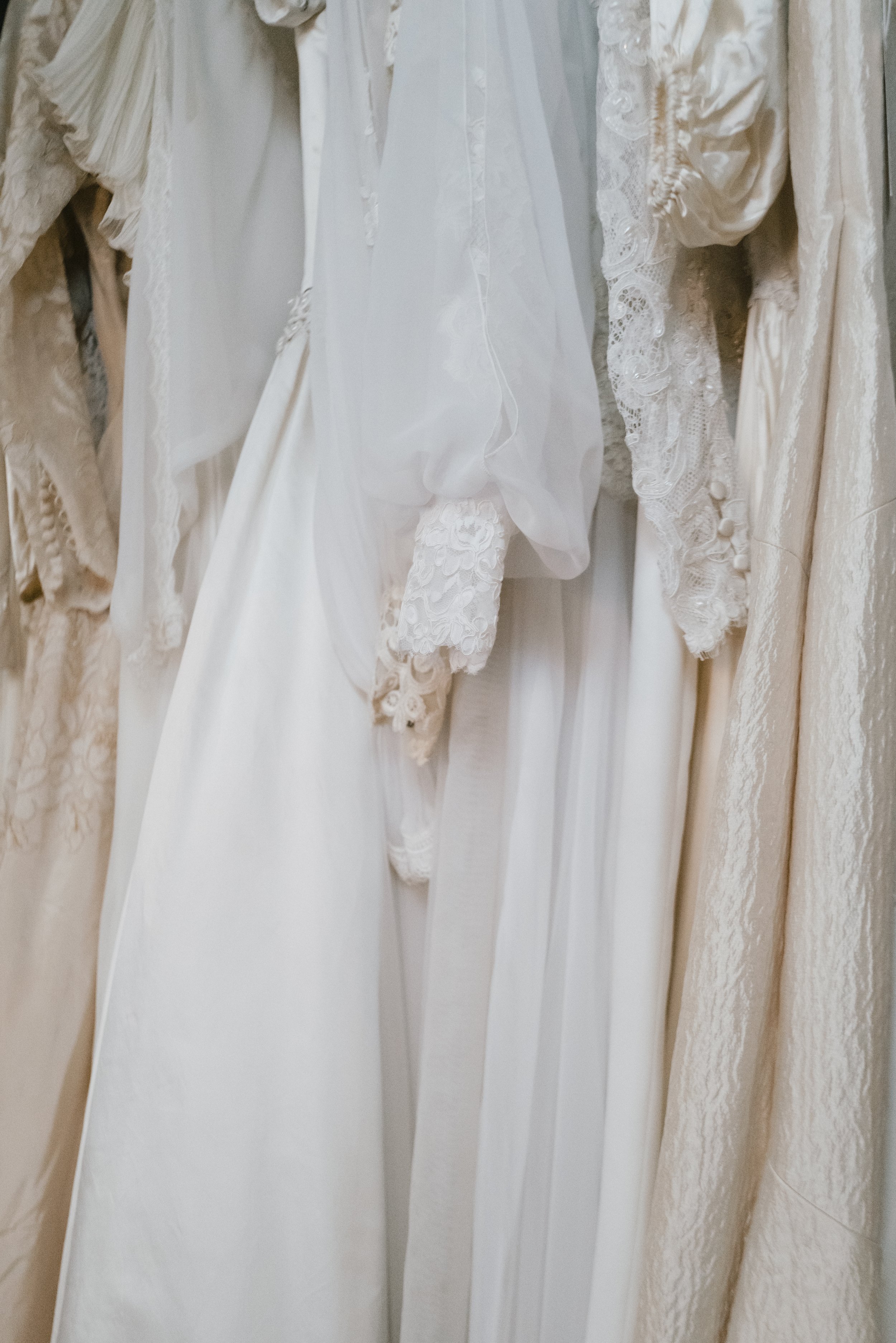 Wildflower Farms 2025-10.jpg