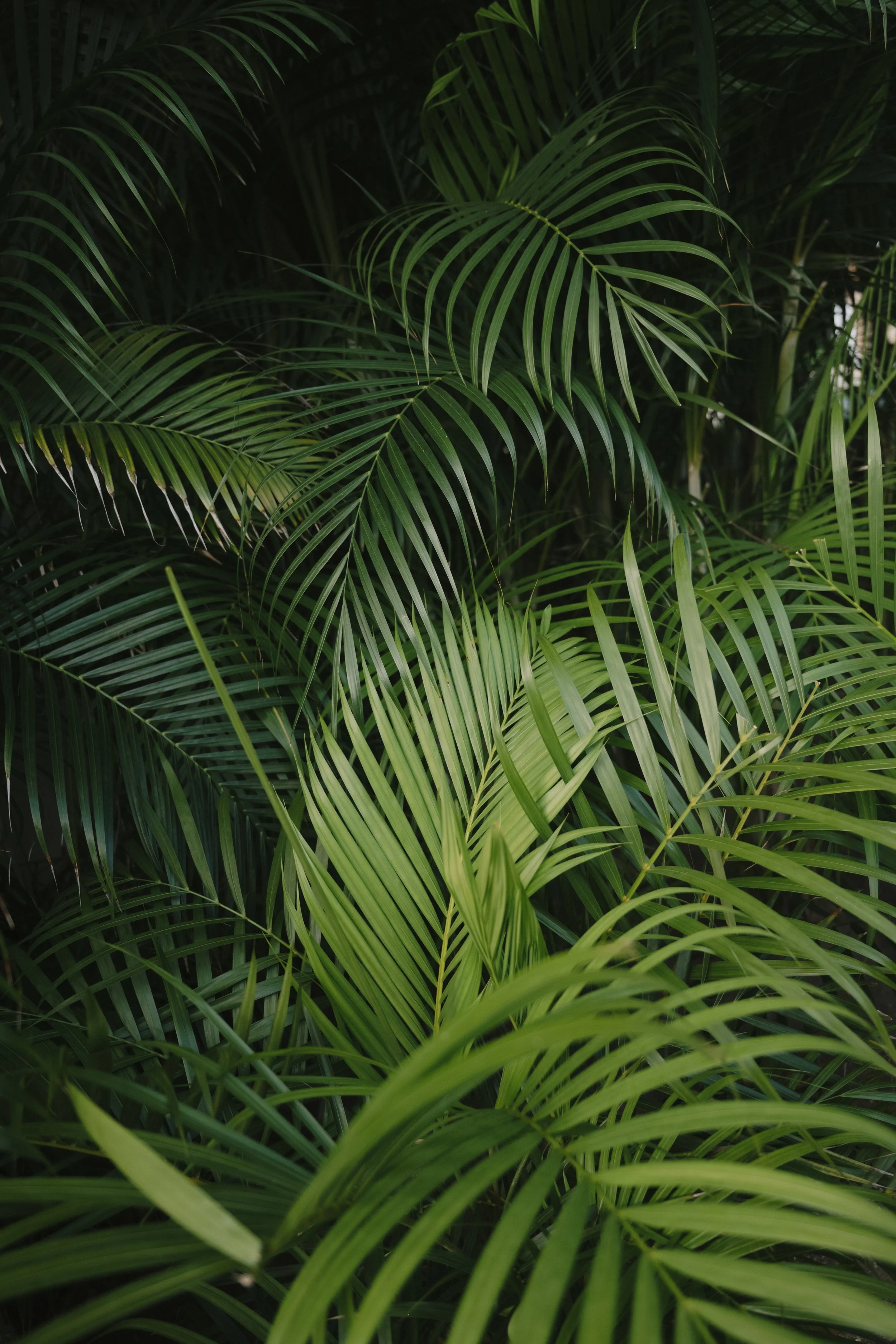 Mary & James Wedding-365.jpg