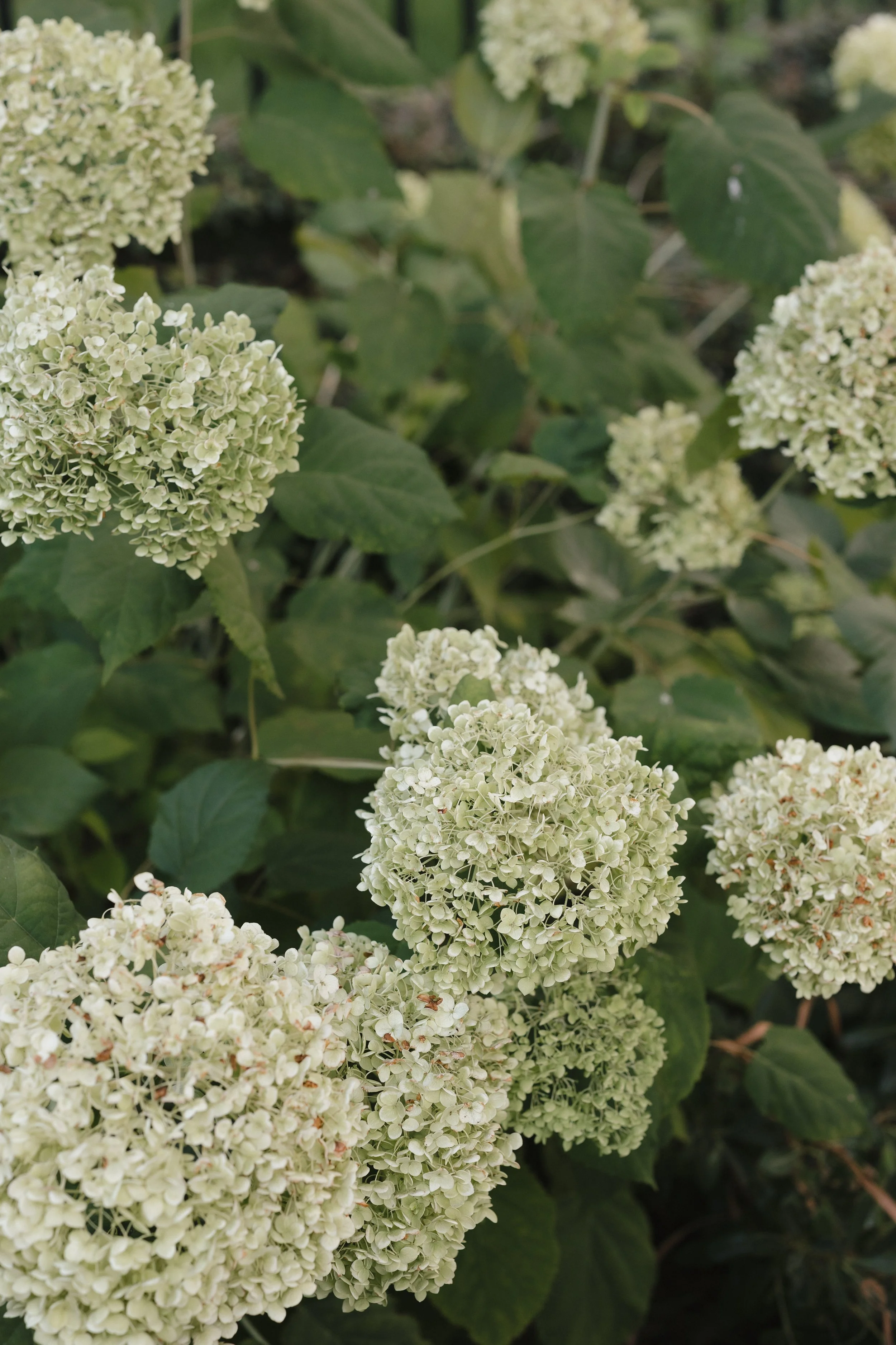 Sam & Kate Madrona Wedding-630.jpg