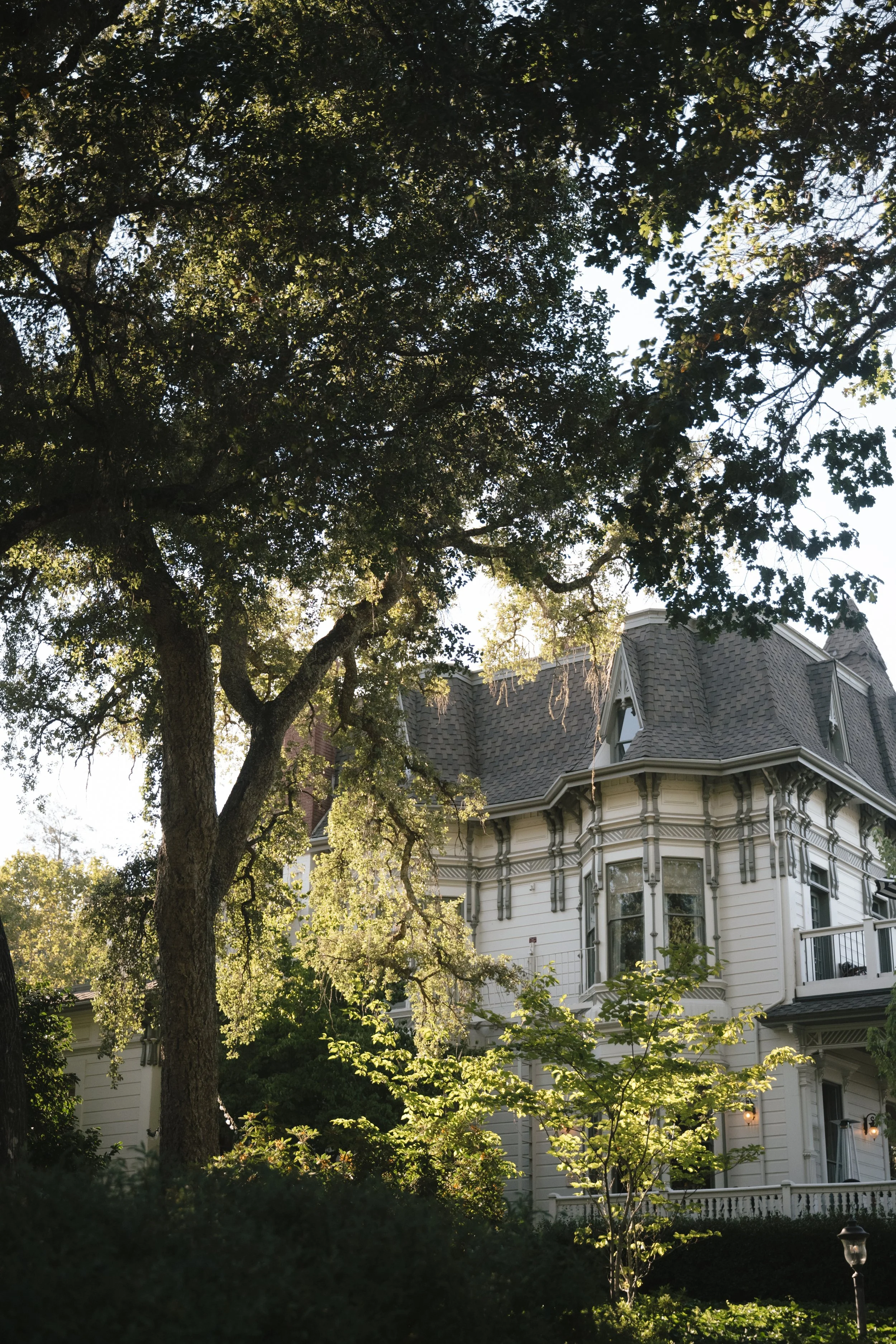 Sam & Kate Previews-105.jpg