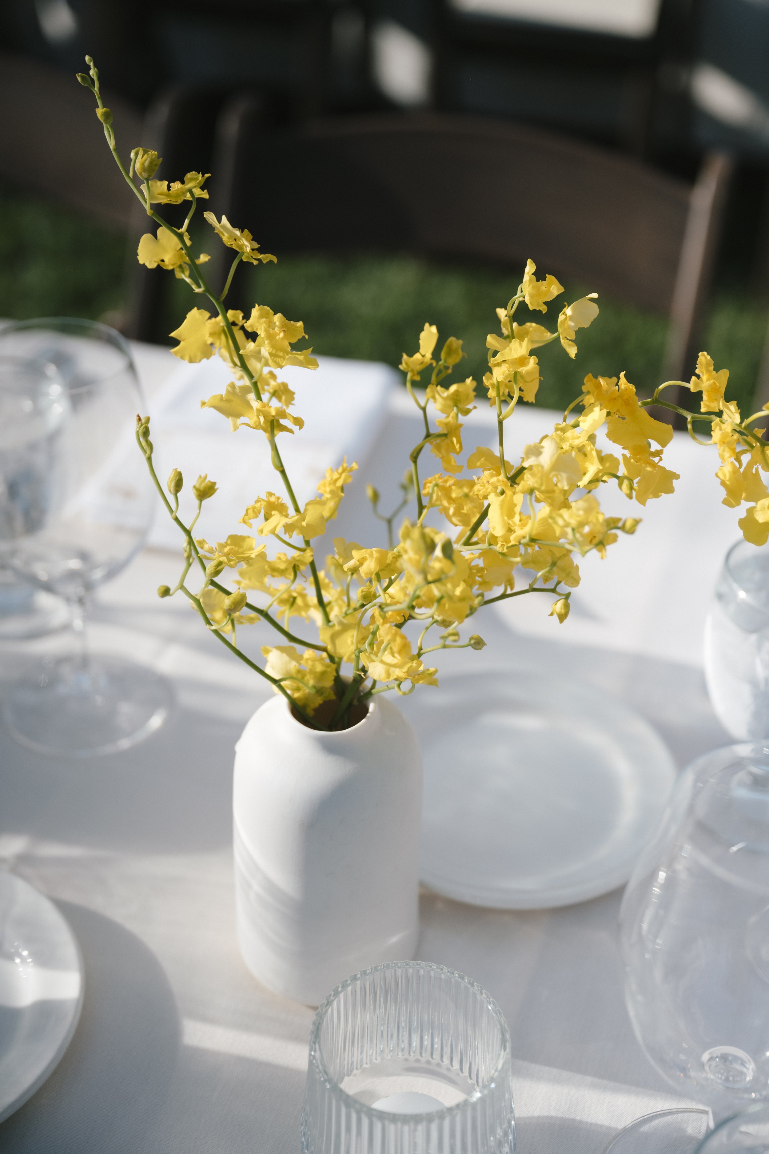 Chiara & Michael Previews-136.jpg