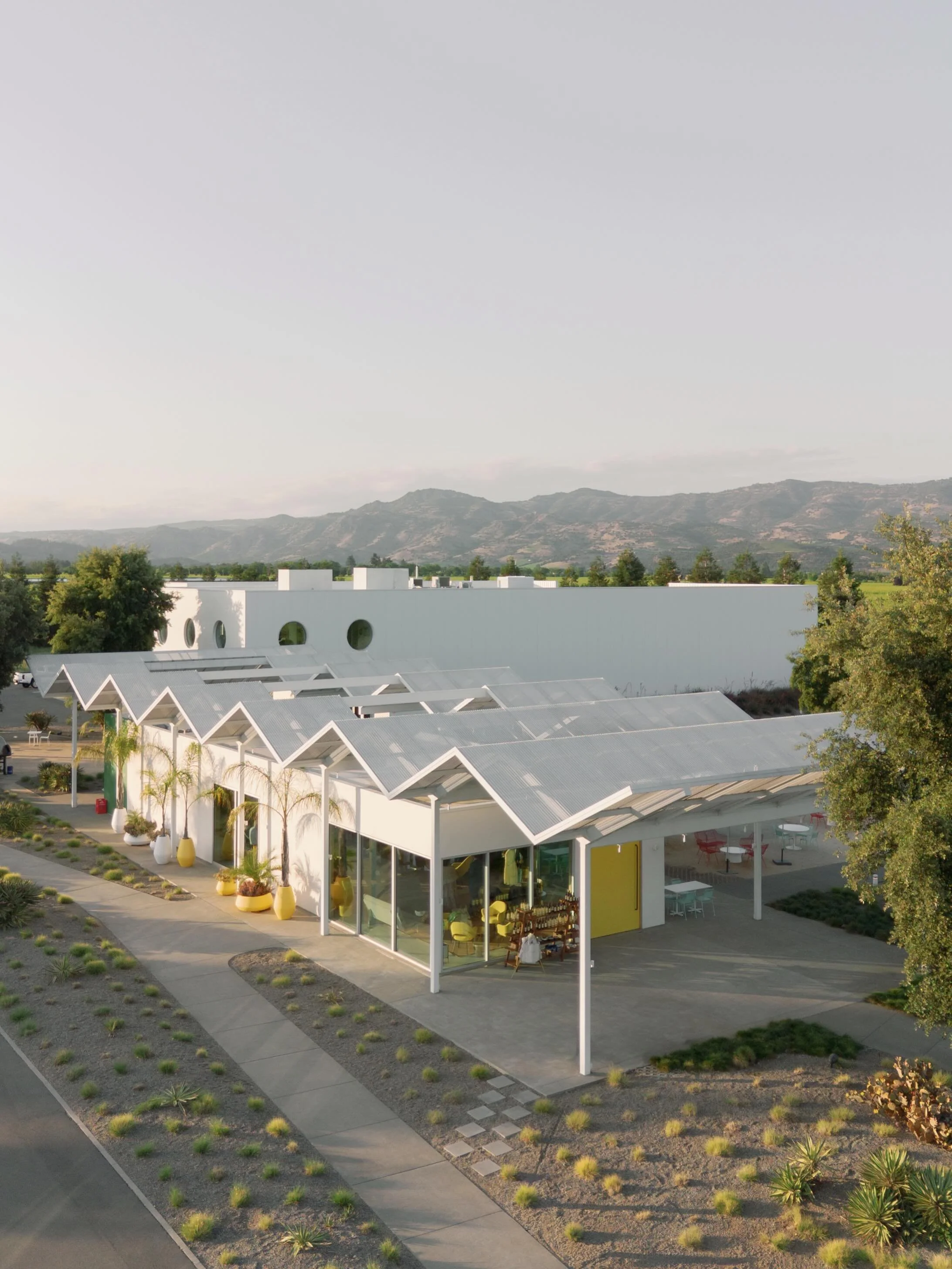The night before forever 🥂✨

The sun lingered a little longer, the air smelled like summer, and Napa Valley felt like it was showing off. Mia &amp; Billy gathered their favorite people at @ashesxdiamonds for an evening that glowed from start to fini