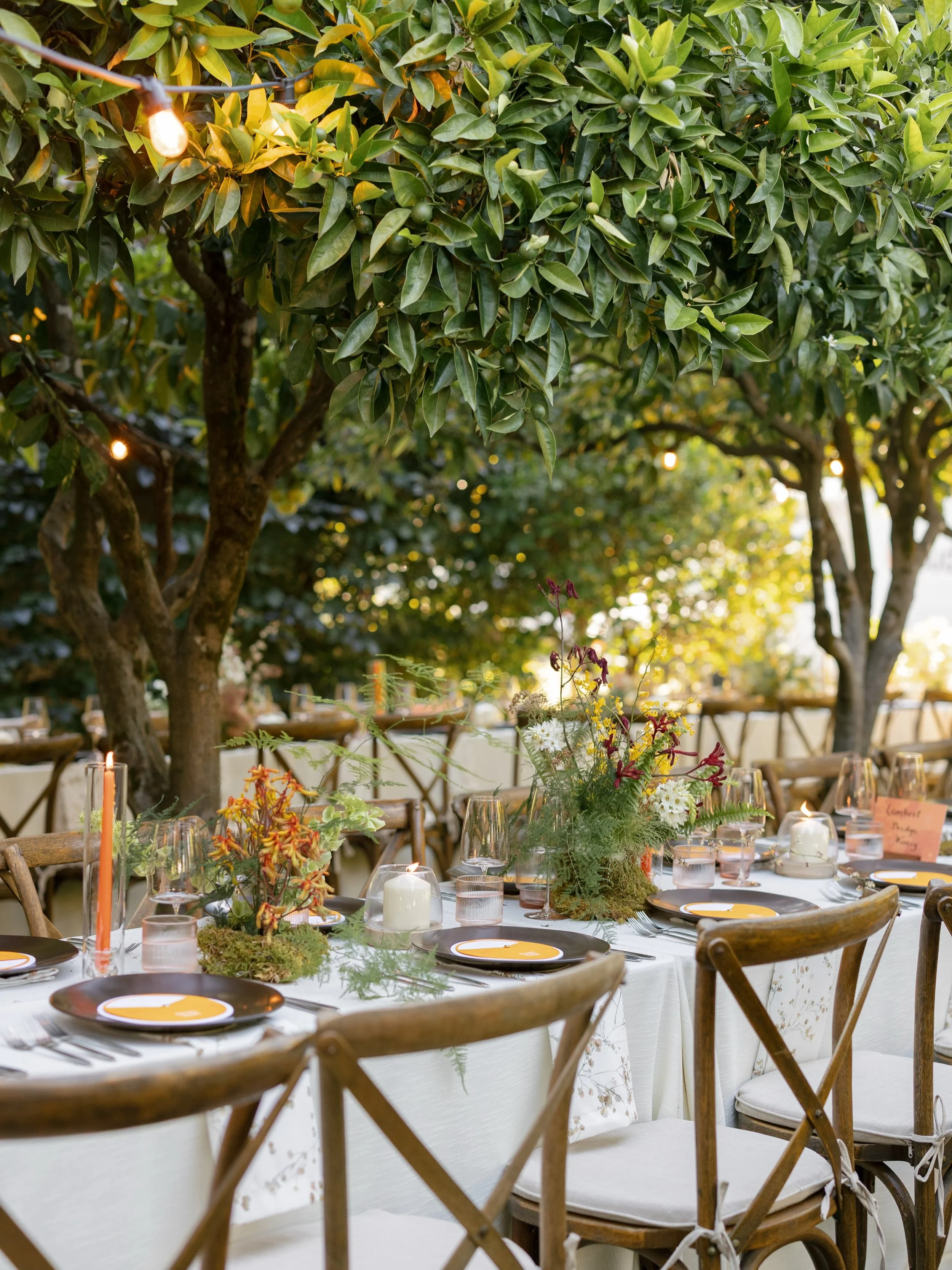 Golden hour in the orange grove 🍊 

A summer garden party at The Madrona in Healdsburg, filled with warm golden hues, wild florals, and the prettiest little dinner details.

Venue //&nbsp;@themadrona
Photographer //&nbsp;@elizabethpishalphoto
Planne