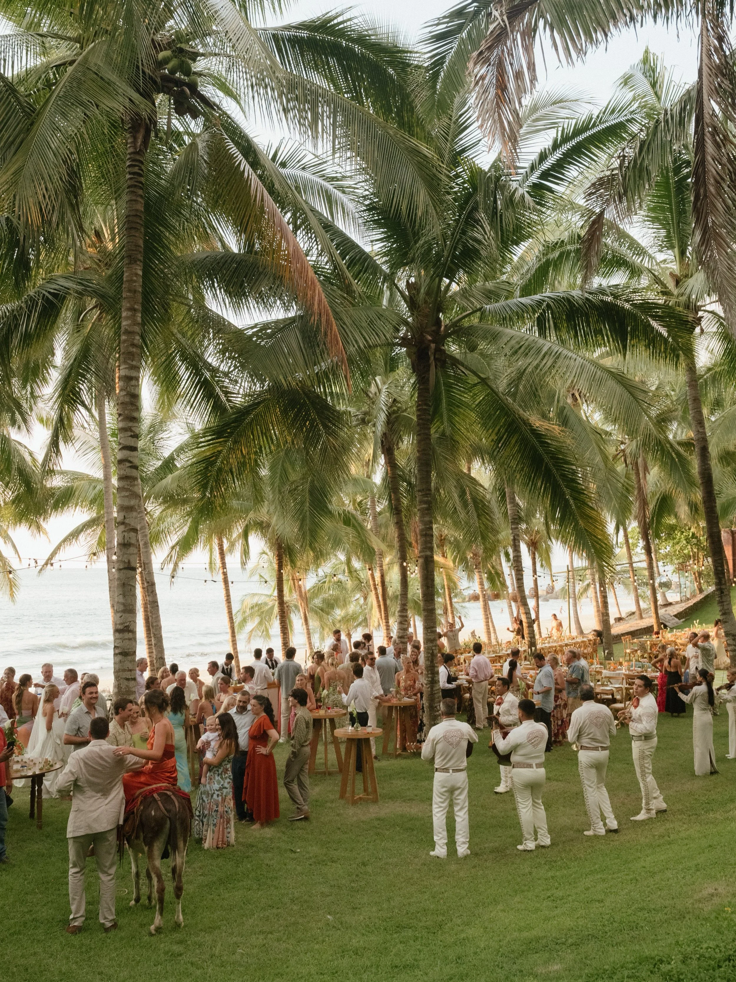 &iexcl;Felicidades, Milners! 🌺🏝️🍋&zwj;🟩🥳

What a treat to be back at @teitiare for Alana &amp; Ethan&rsquo;s wedding this weekend in Sayulita. 

Complete with mucha tequila, a surprise burro 🫏, mariachi band 🪇, and a packed dance floor 🪩. 

V