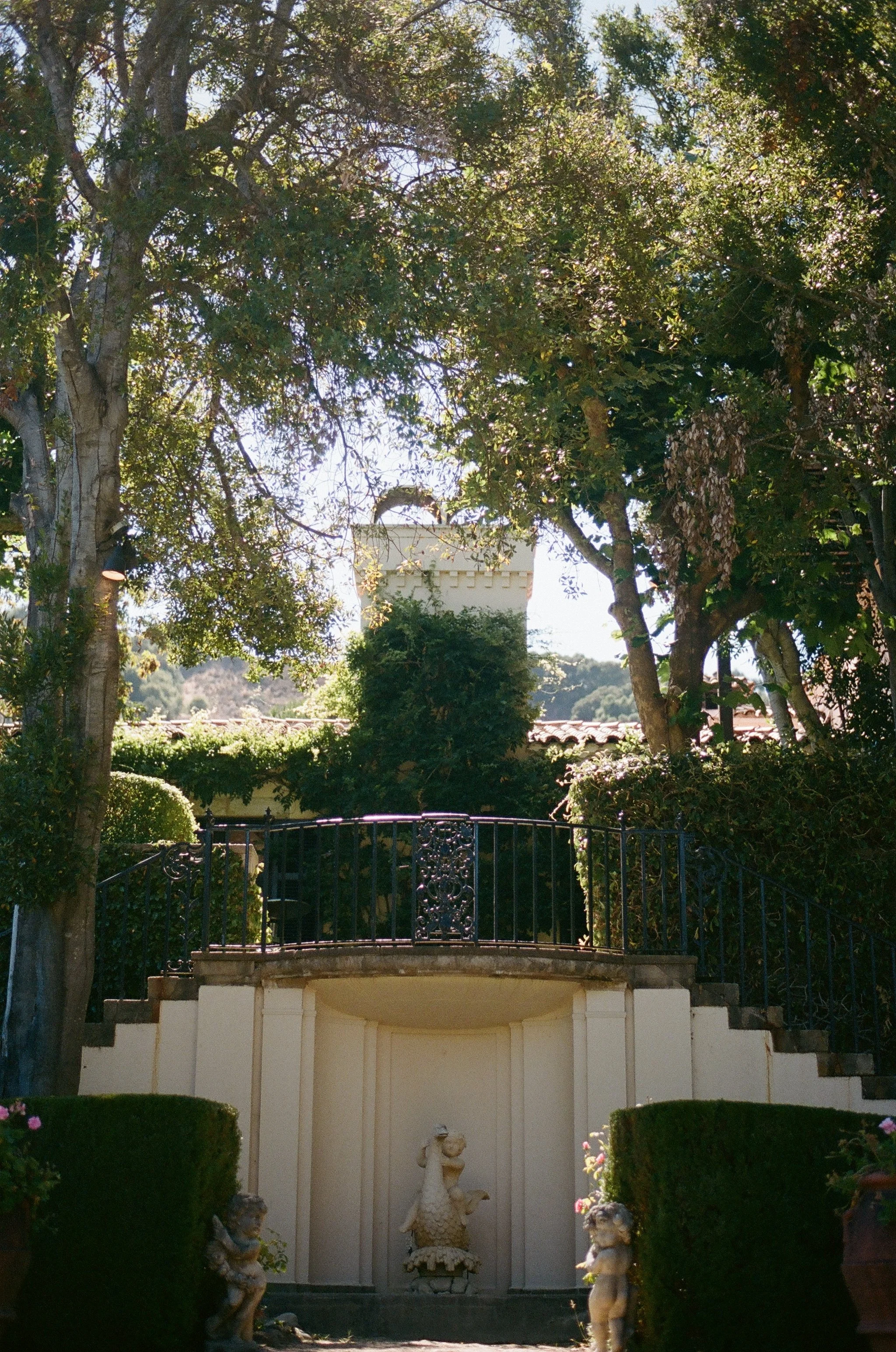 804239_0031.jpg