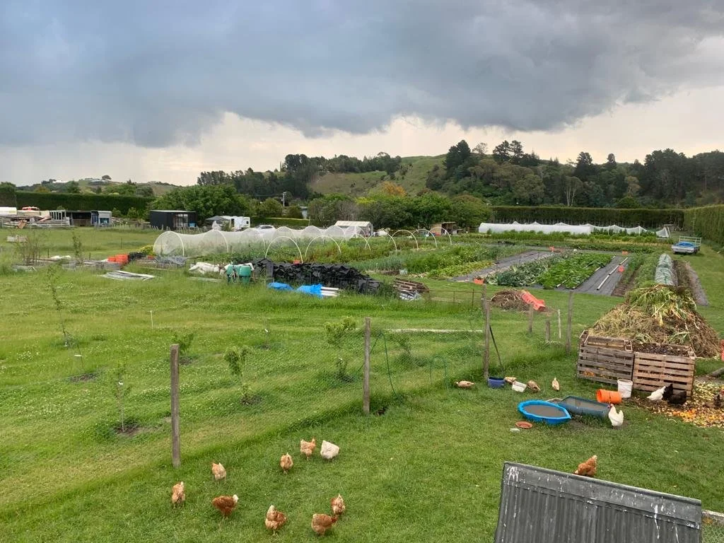 PHOTO-2020-12-08-19-54-14 copy.jpg