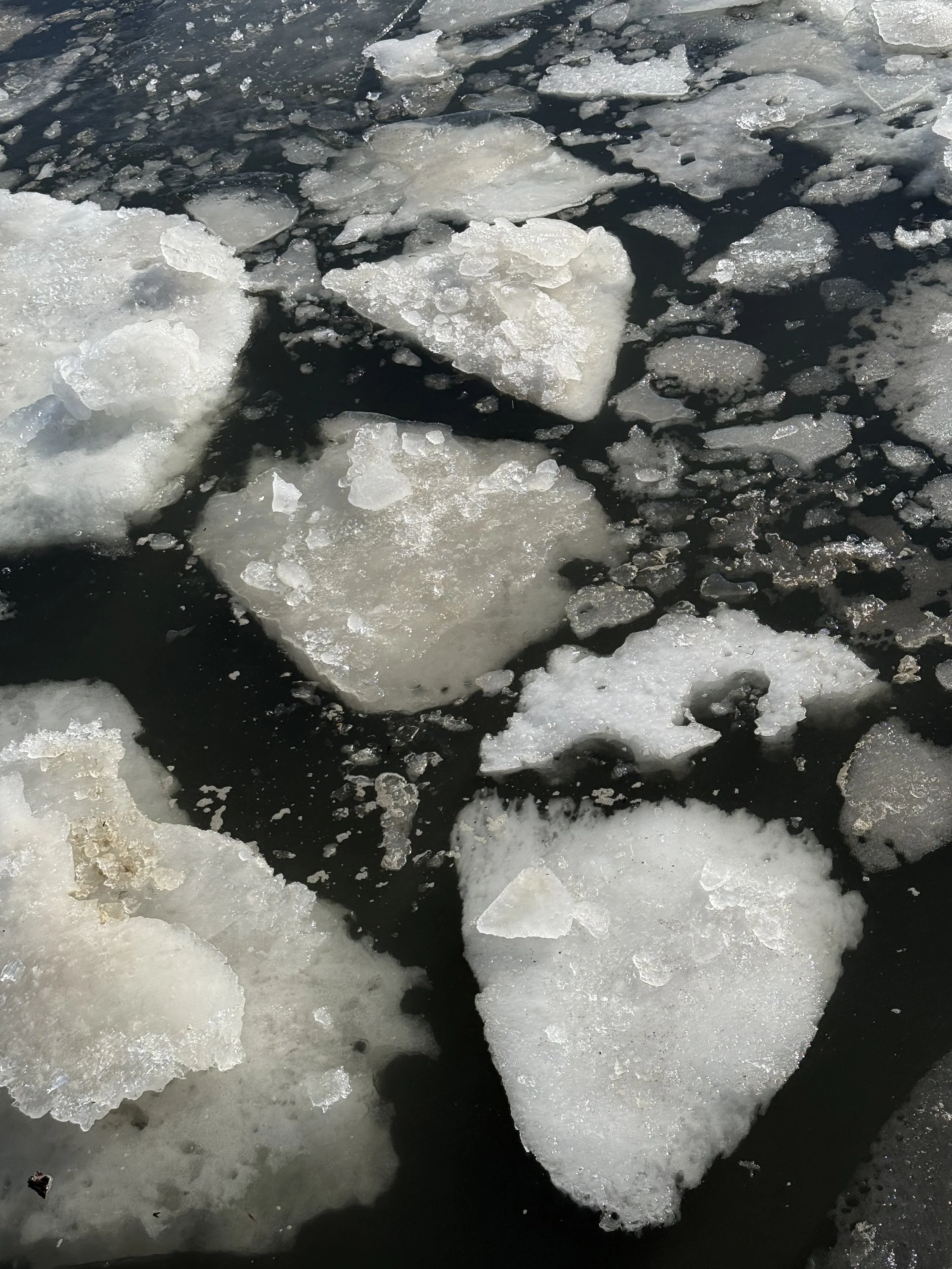 Day 35 - February 4, 2026