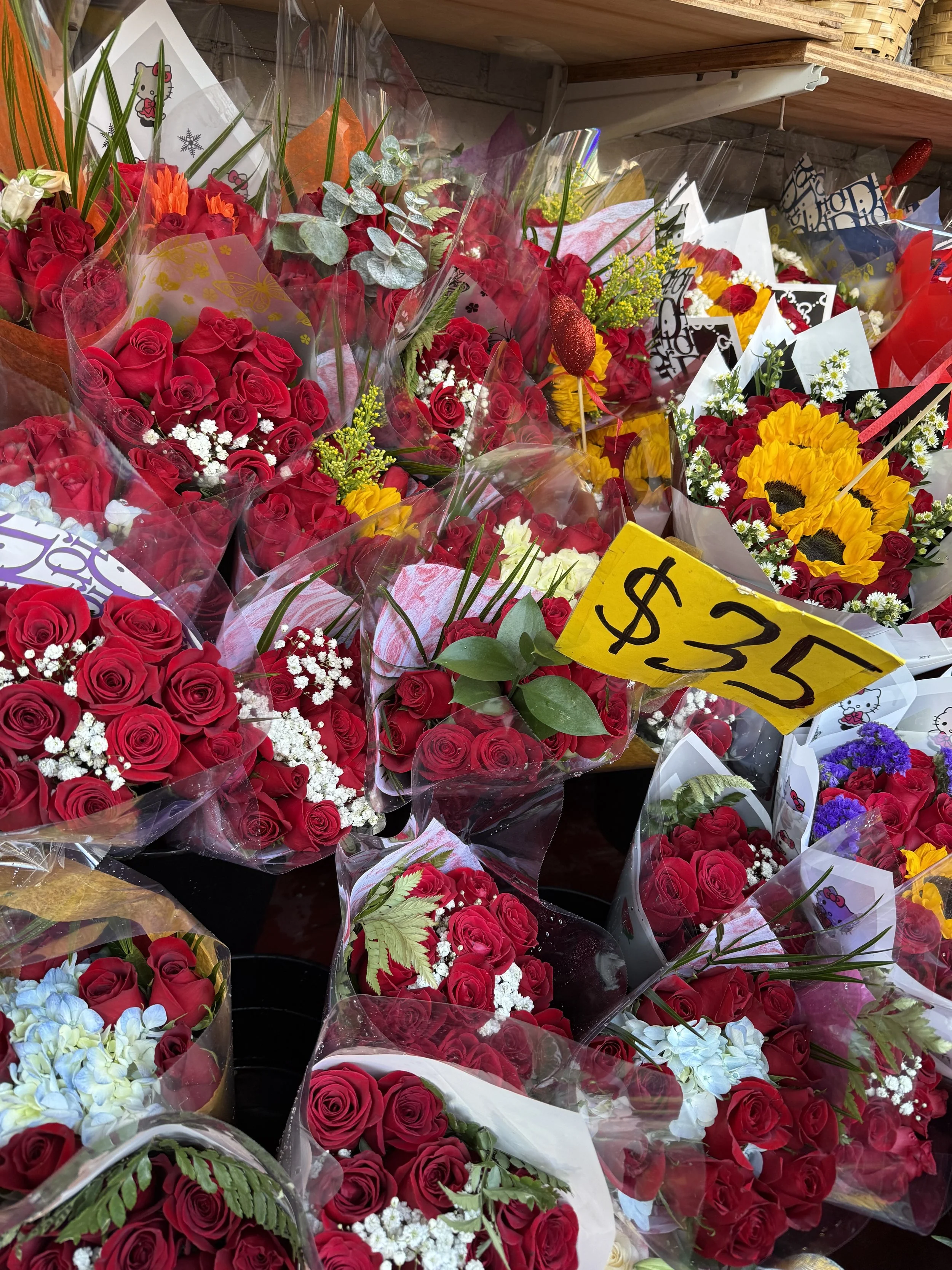 Day 45 - February 14, 2026