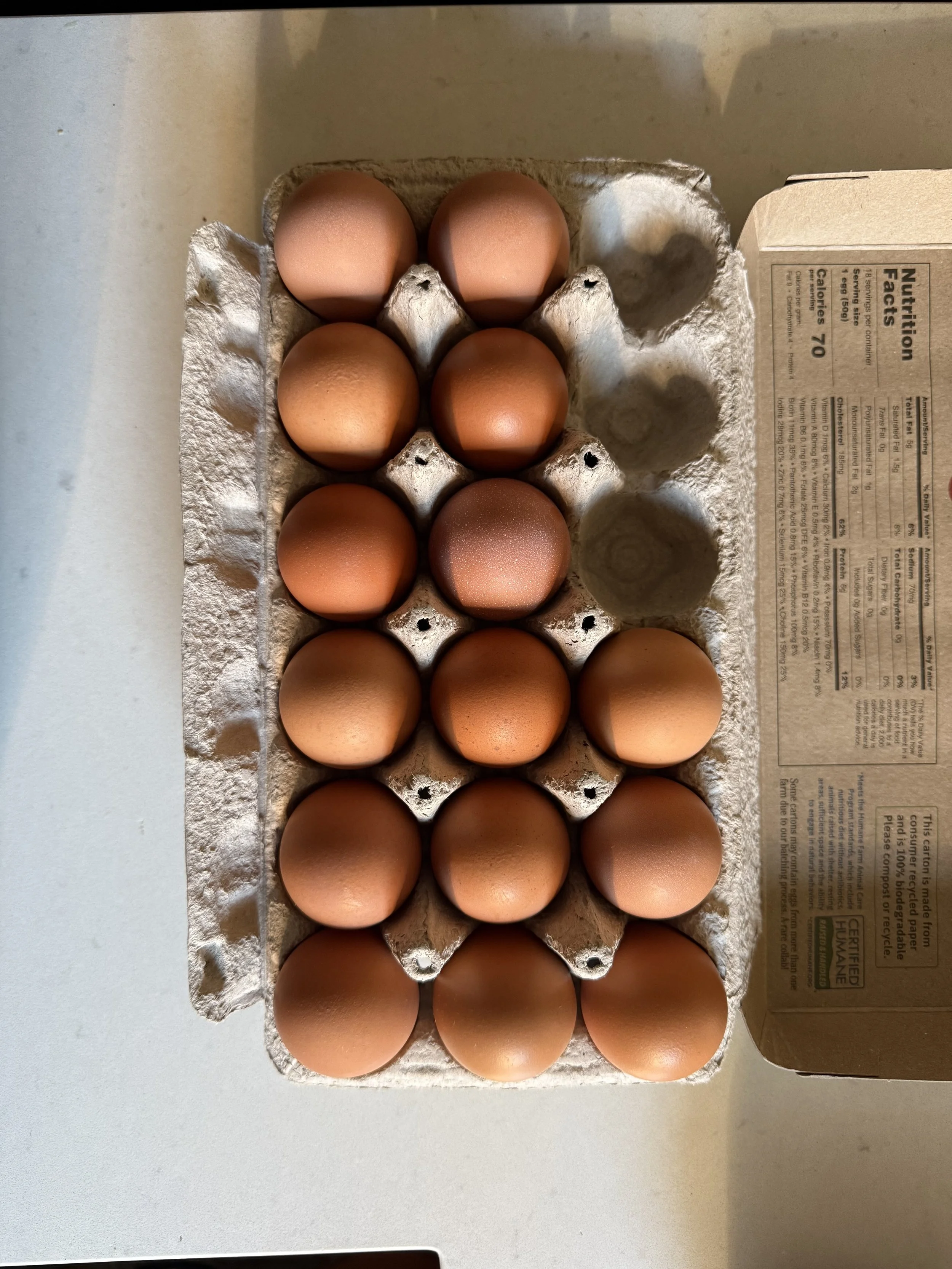 Day 20 - January 20, 2026