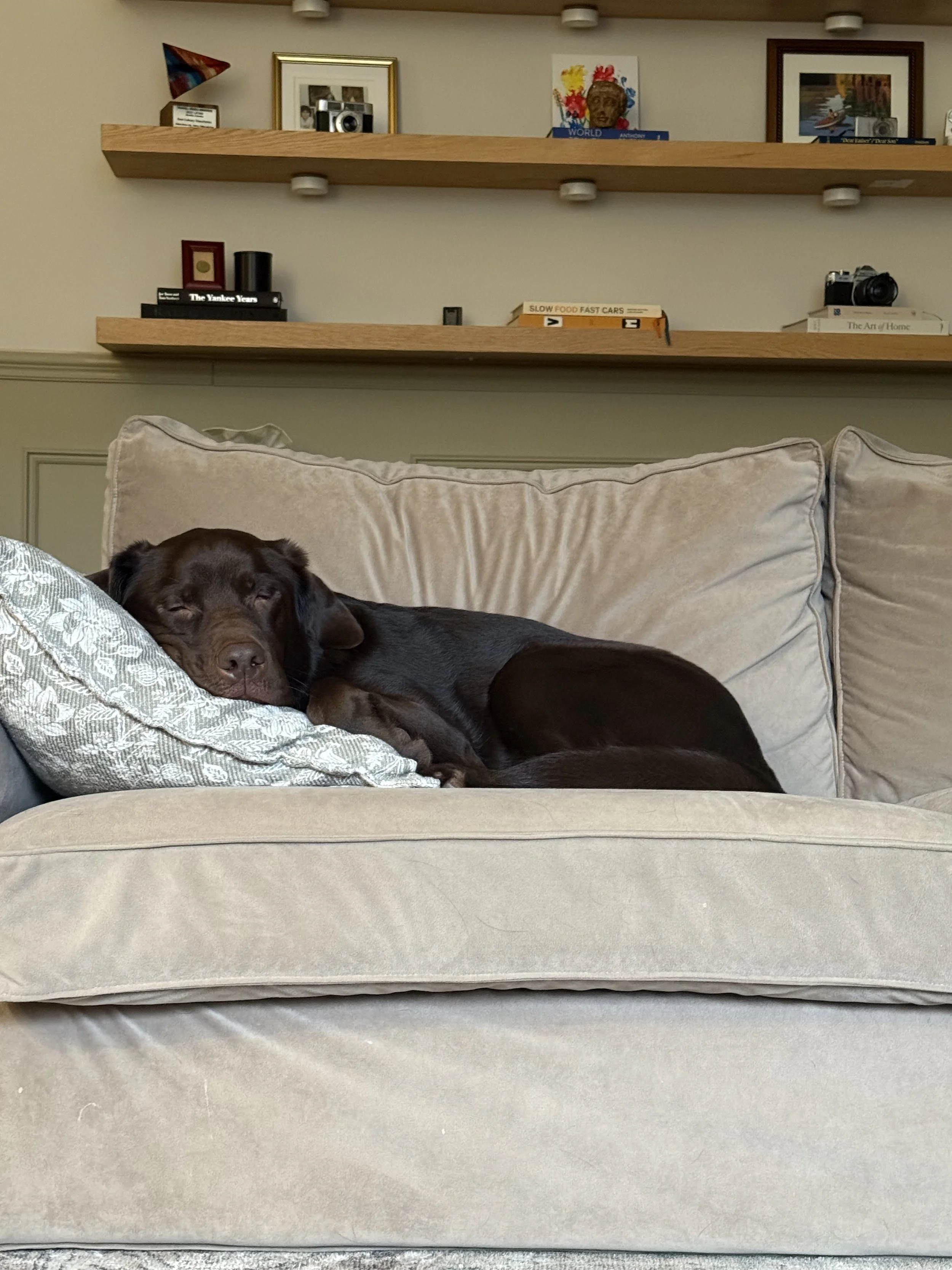 Day 18 - January 18, 2026