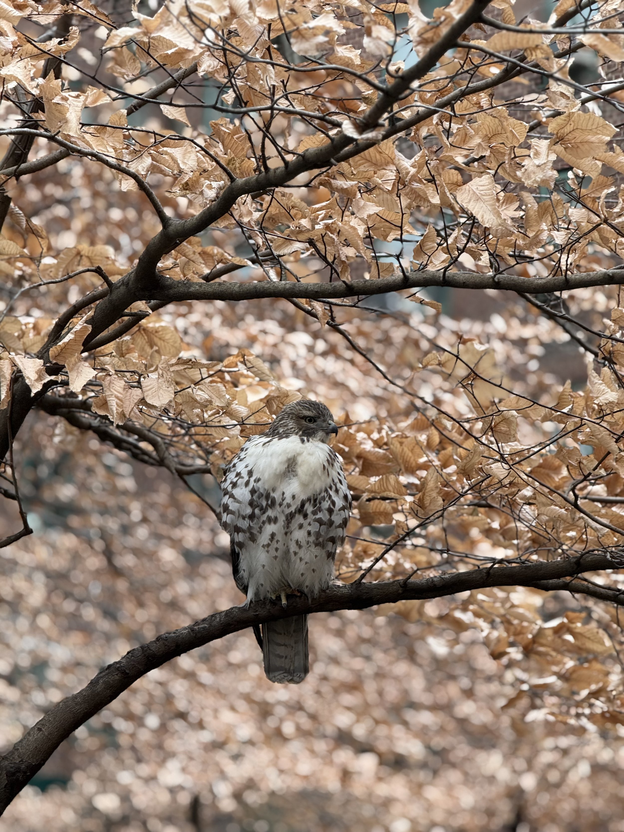 Day 5 - January 5, 2026