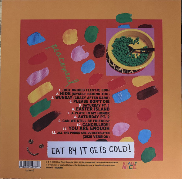 Ron Gallo .Peacemeal.2.jpg