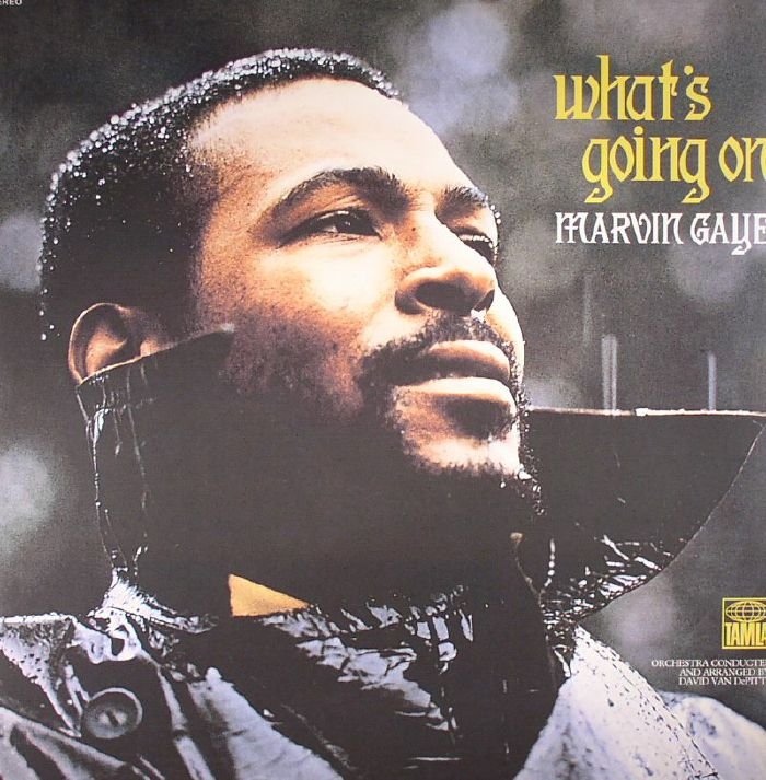 marvin g what a.jpg