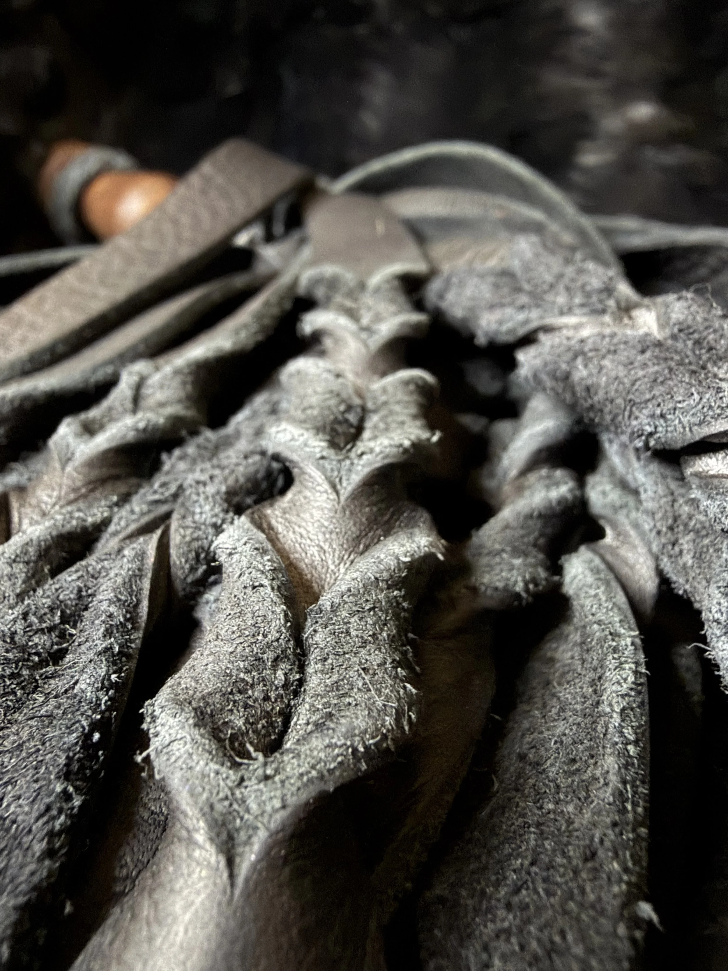 Fun with Floggers Skillshare