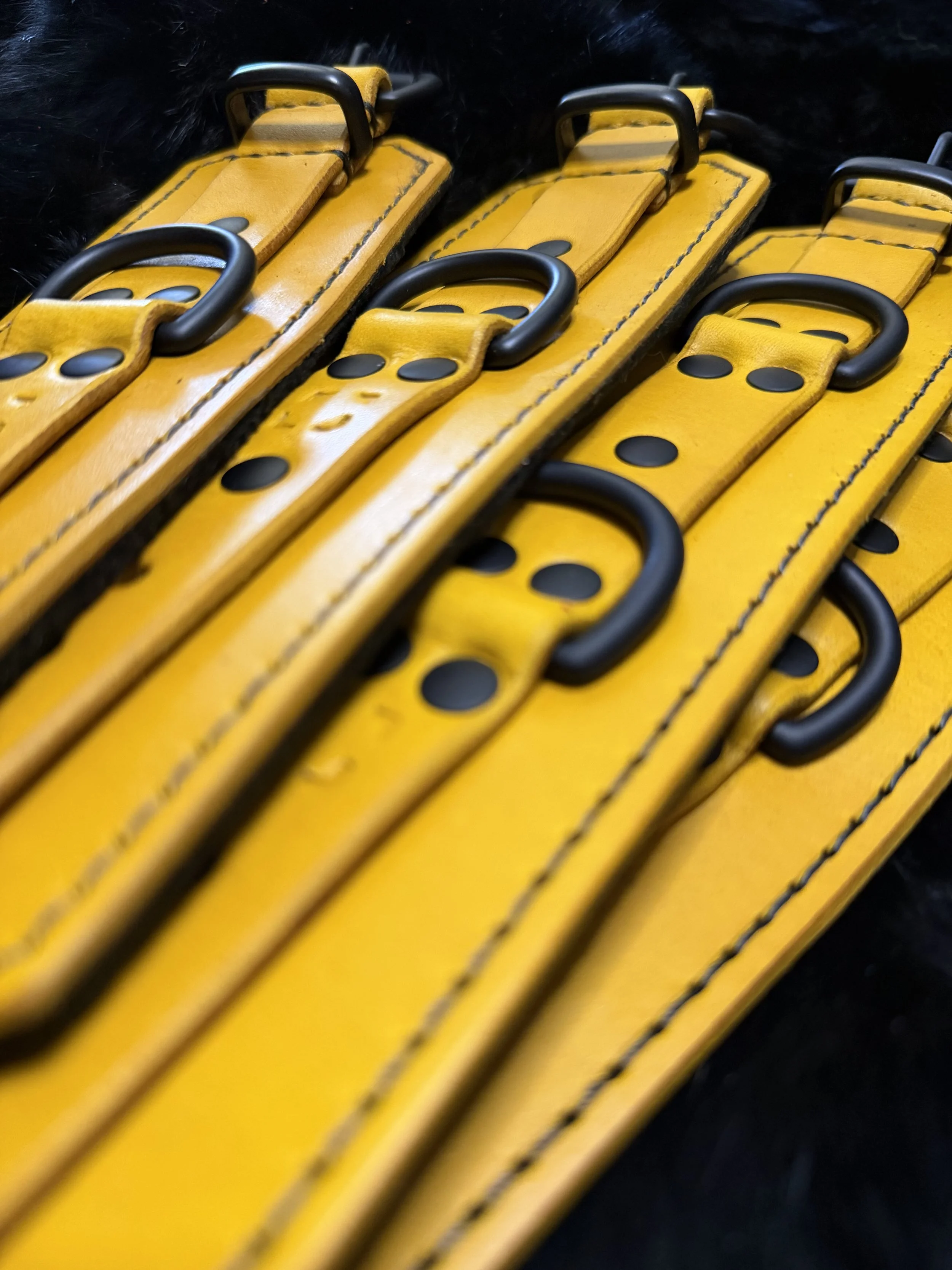 IMG_0199.jpeg