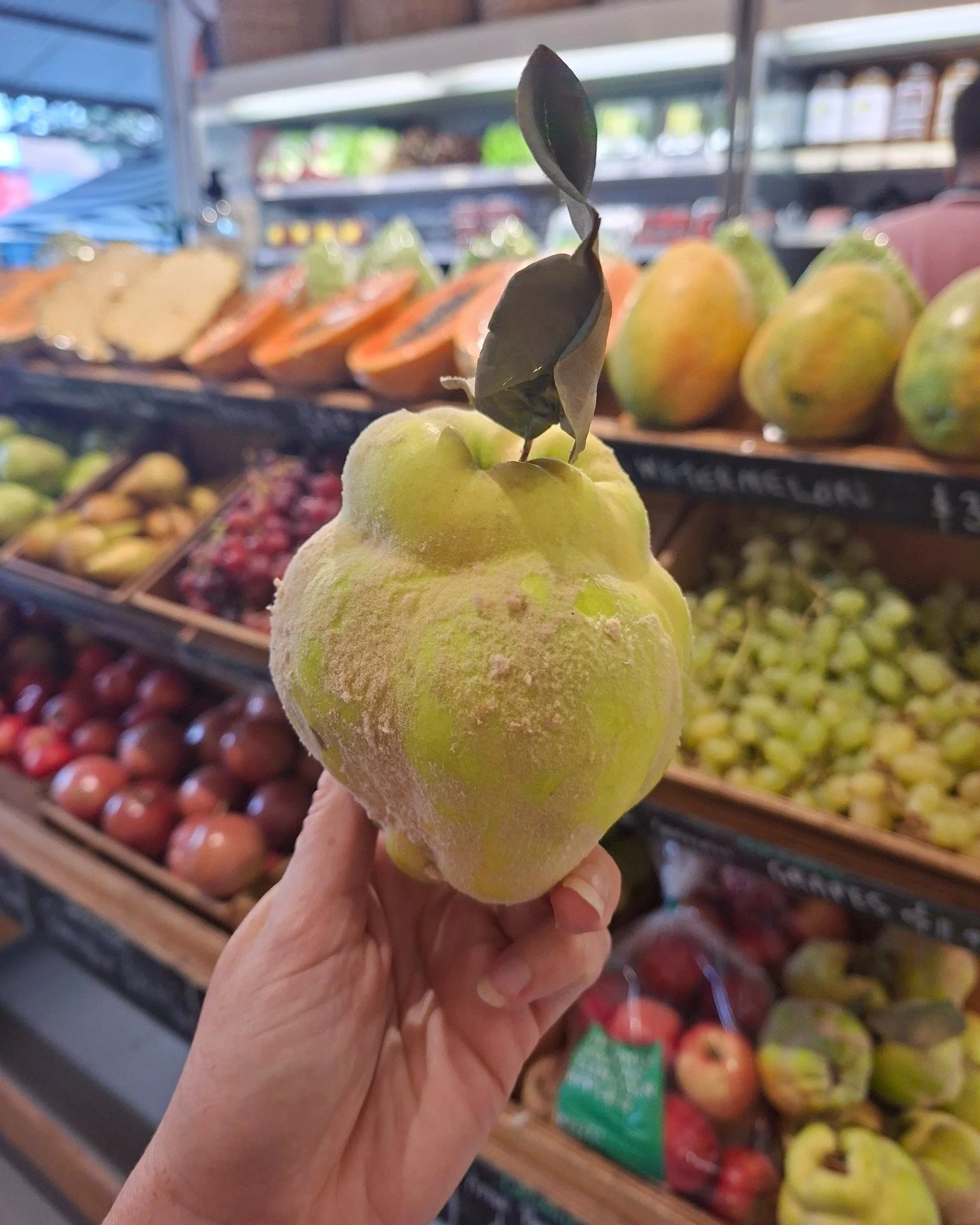 Organic Victorian Pineapple Quinces have landed at CLAY 🍐✨

With subtle pineapple notes and a beautiful aroma, this unique fruit grown in Coligan, Victoria by @gmpfarms  is perfect for slow stewing, poaching, roasting or turning into jams and jellie