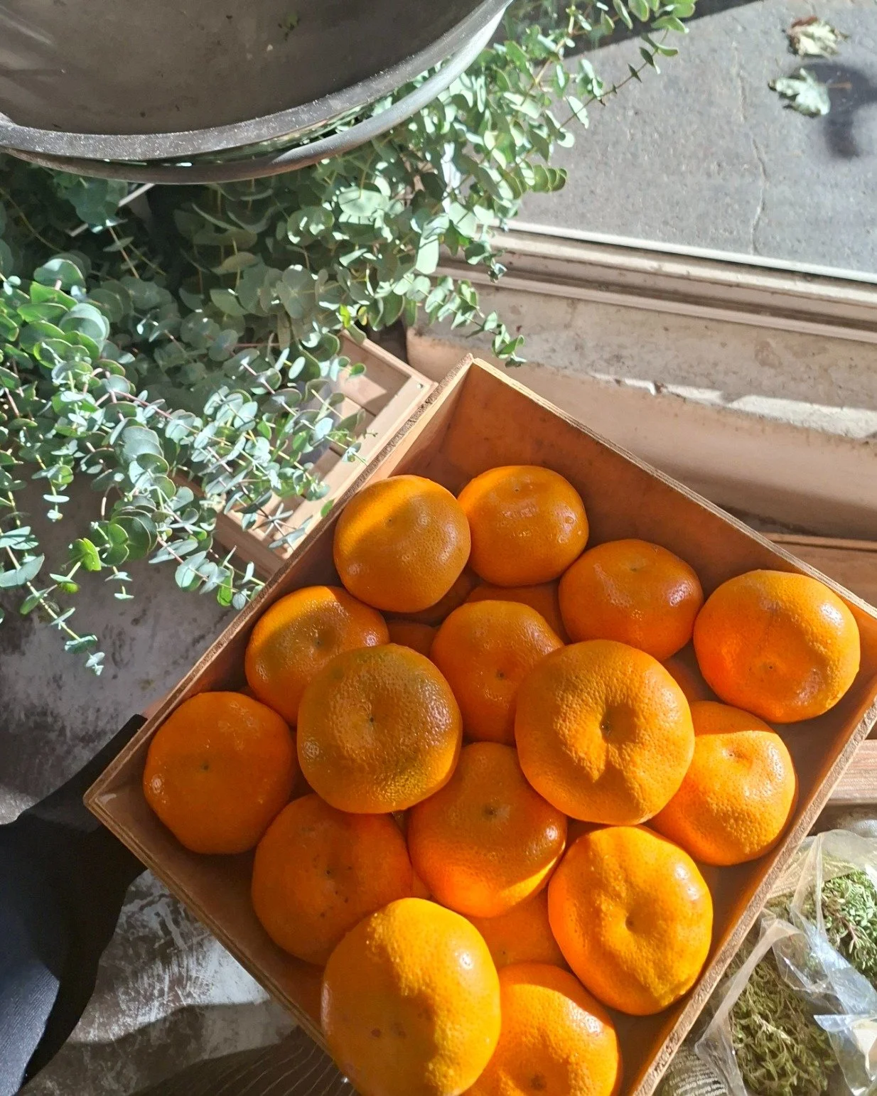 The first of this seasons Imperial Mandarins have arrived 🍊
Refreshing and full of vitamin C, antioxidants and fibre, making them a perfect autumn snack 🍂 

#clayhealthandorganics #collingwood #rathdownevillage #localfood #sustainability #shoplocal