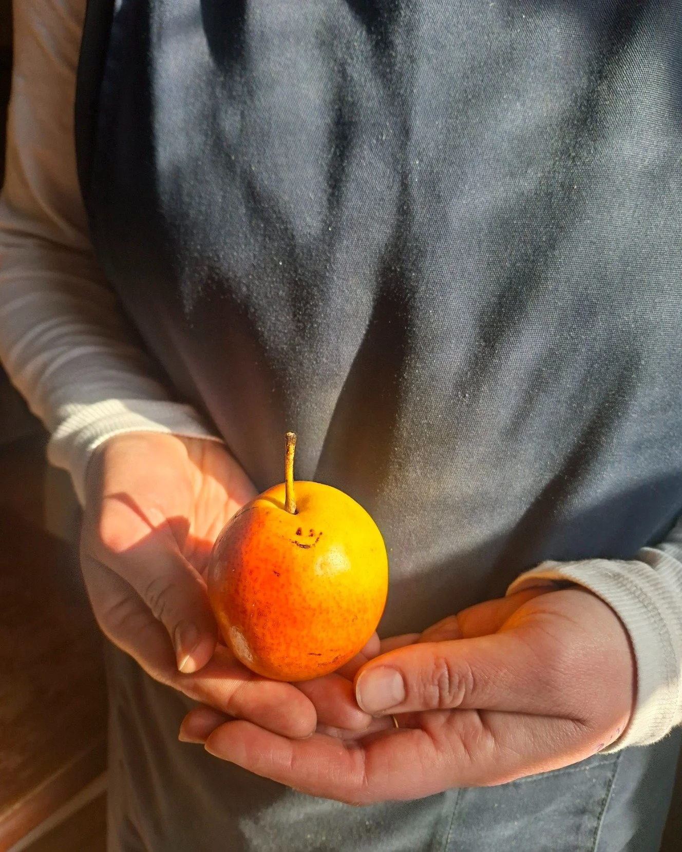 A Happy Papple 🙂
Grown organically in Victoria's Goulburn Valley, the Papple is a unique cross between a Japanese pear and a Chinese pear. Exceptionally sweet, crisp and juicy 🍐

#clayhealthandorganics #biodynamic #organic #sustainability #localfoo