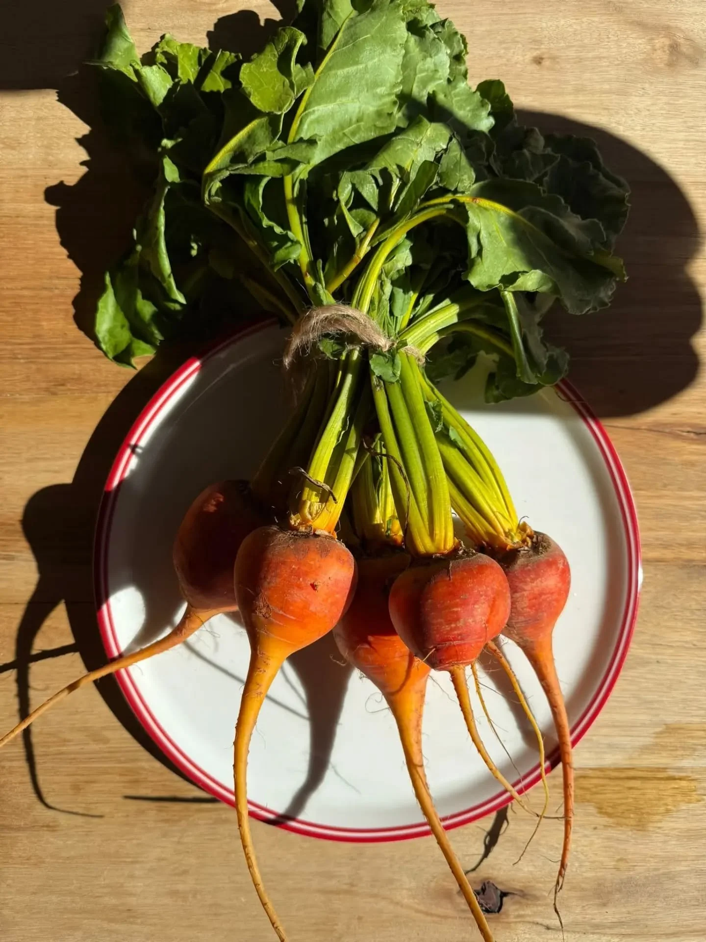 Just some of the abundant fresh produce on offer right now! 

✨️ Bunches of Organic Golden Beetroot 
✨️ Blood Oranges 
✨️ Loose Cherry Tomatoes 
✨️ Organic Fresh Herbs 

Ready to inspire your weekend meals 😊
