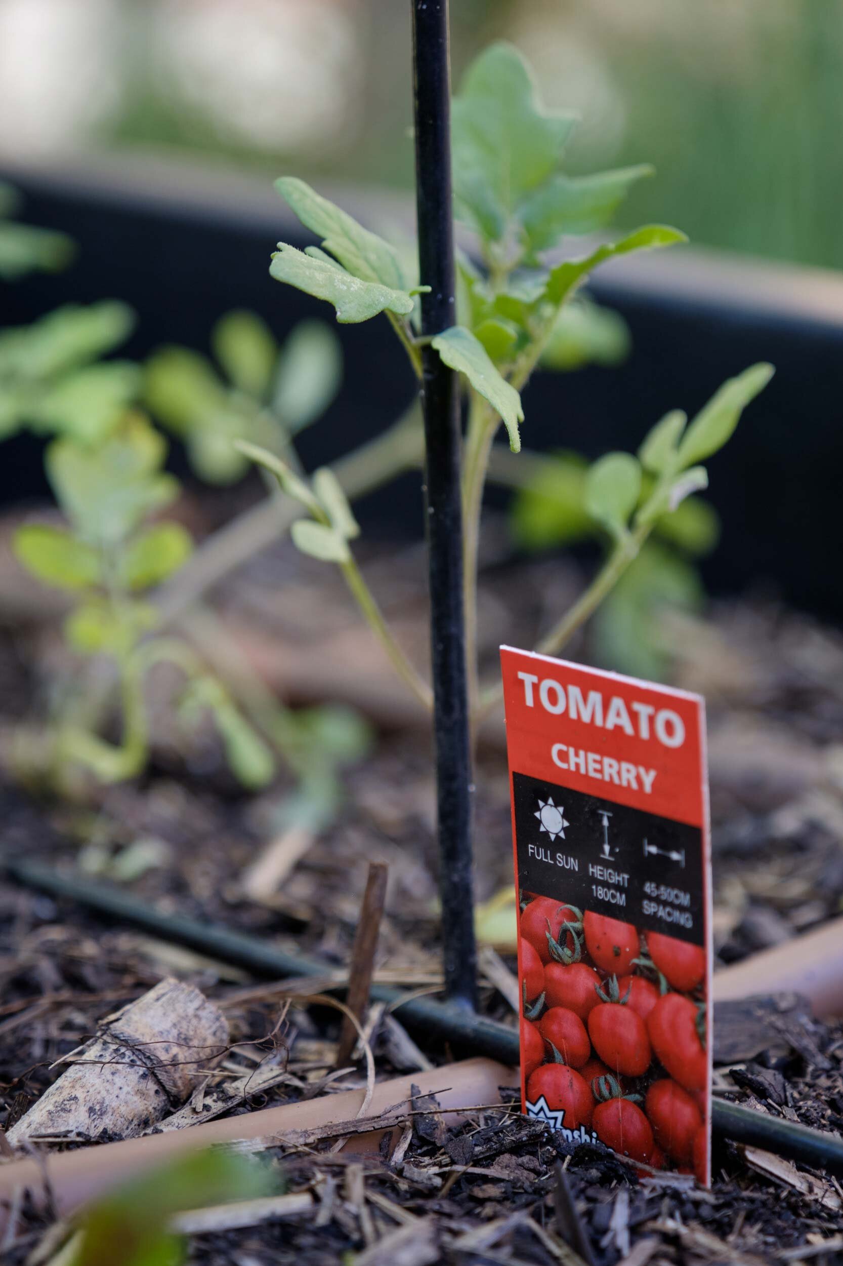 EBKCC_Garden_059.jpg